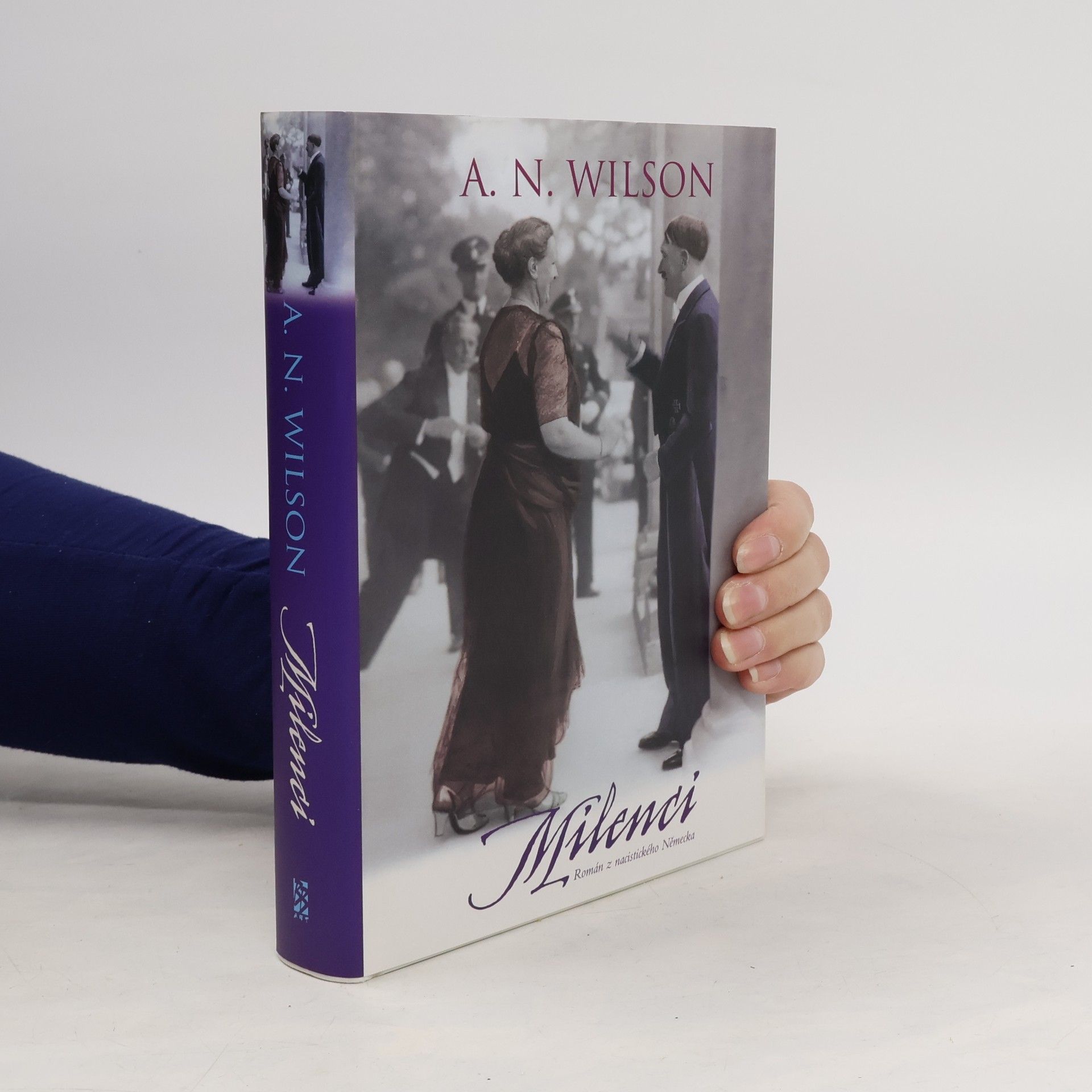 Wison Milenci: Román z nacistického Německa