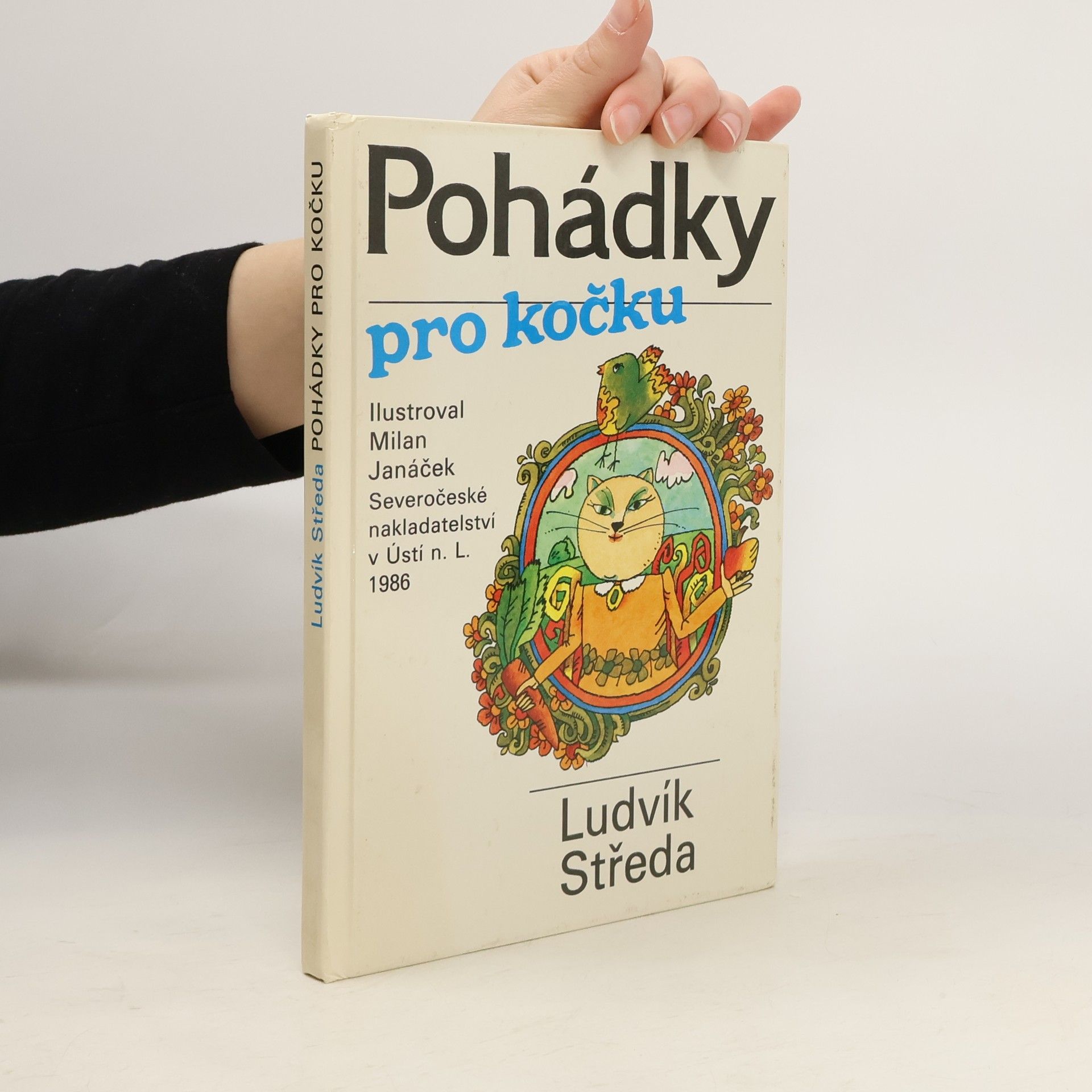 Ludvík Středa Pohádky pro kočku