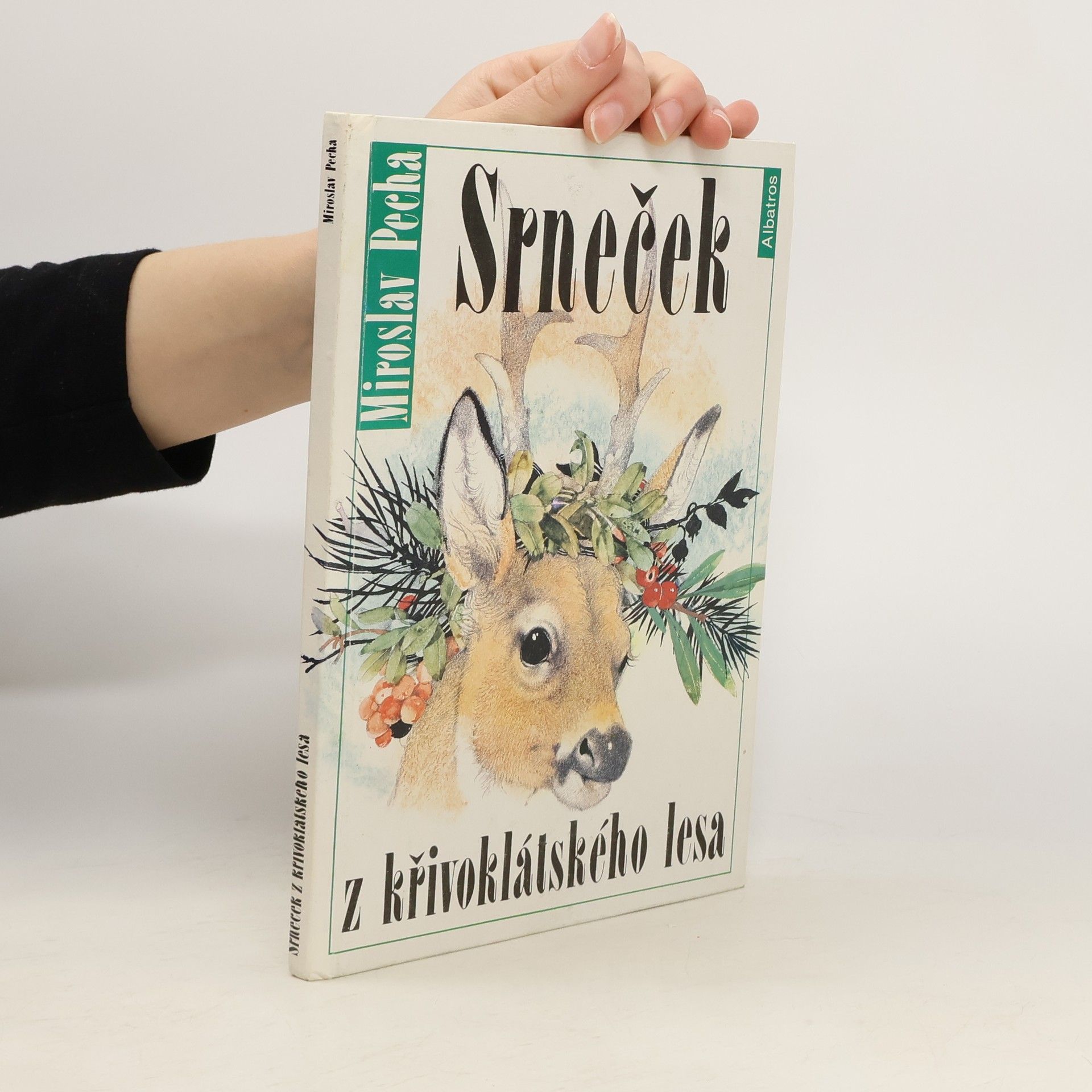 Srneček z křivoklátského lesa