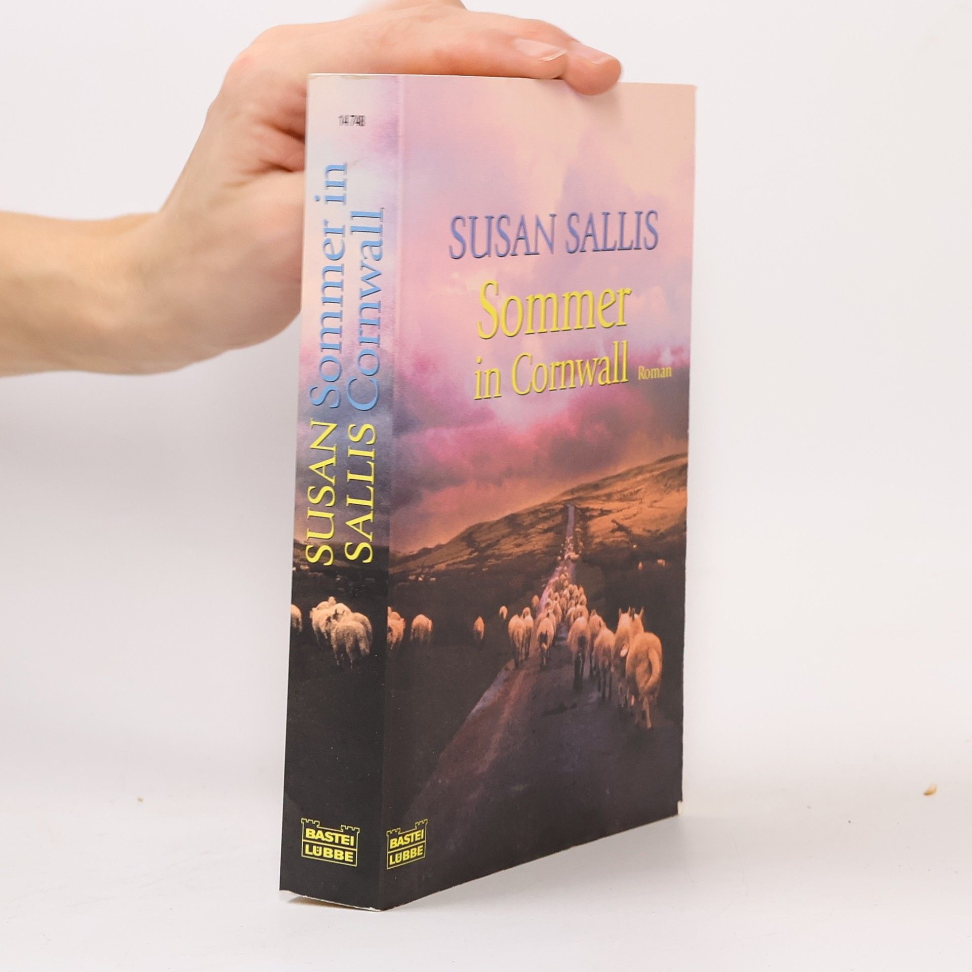 Susan Sallis Sommer in Cornwall