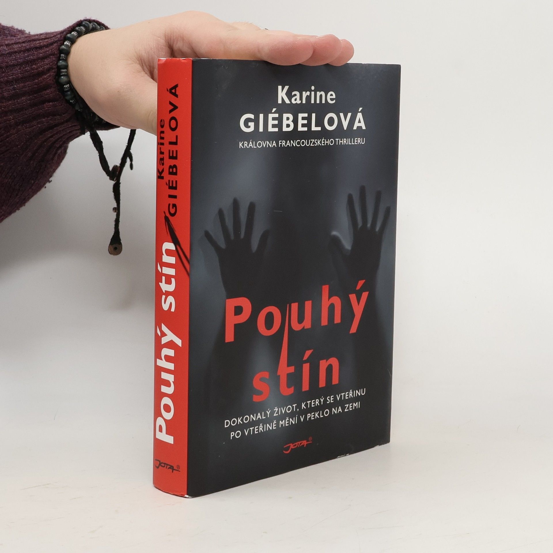 Karine Giebel Pouhý stín