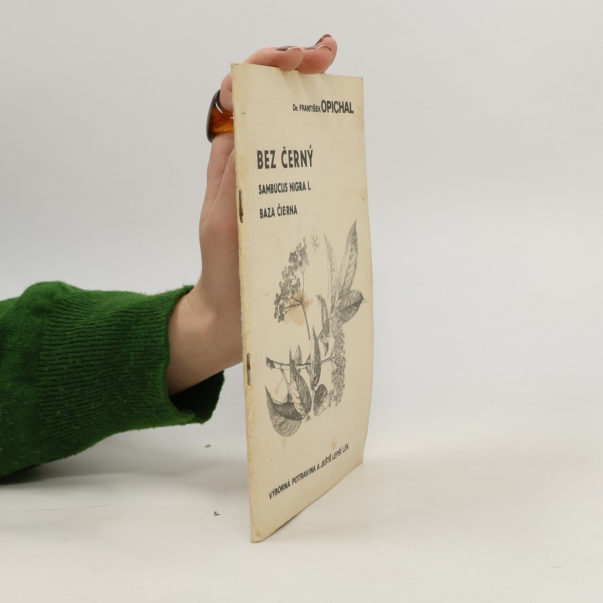 František Opichal Bez černý: Sambucus nigra L.