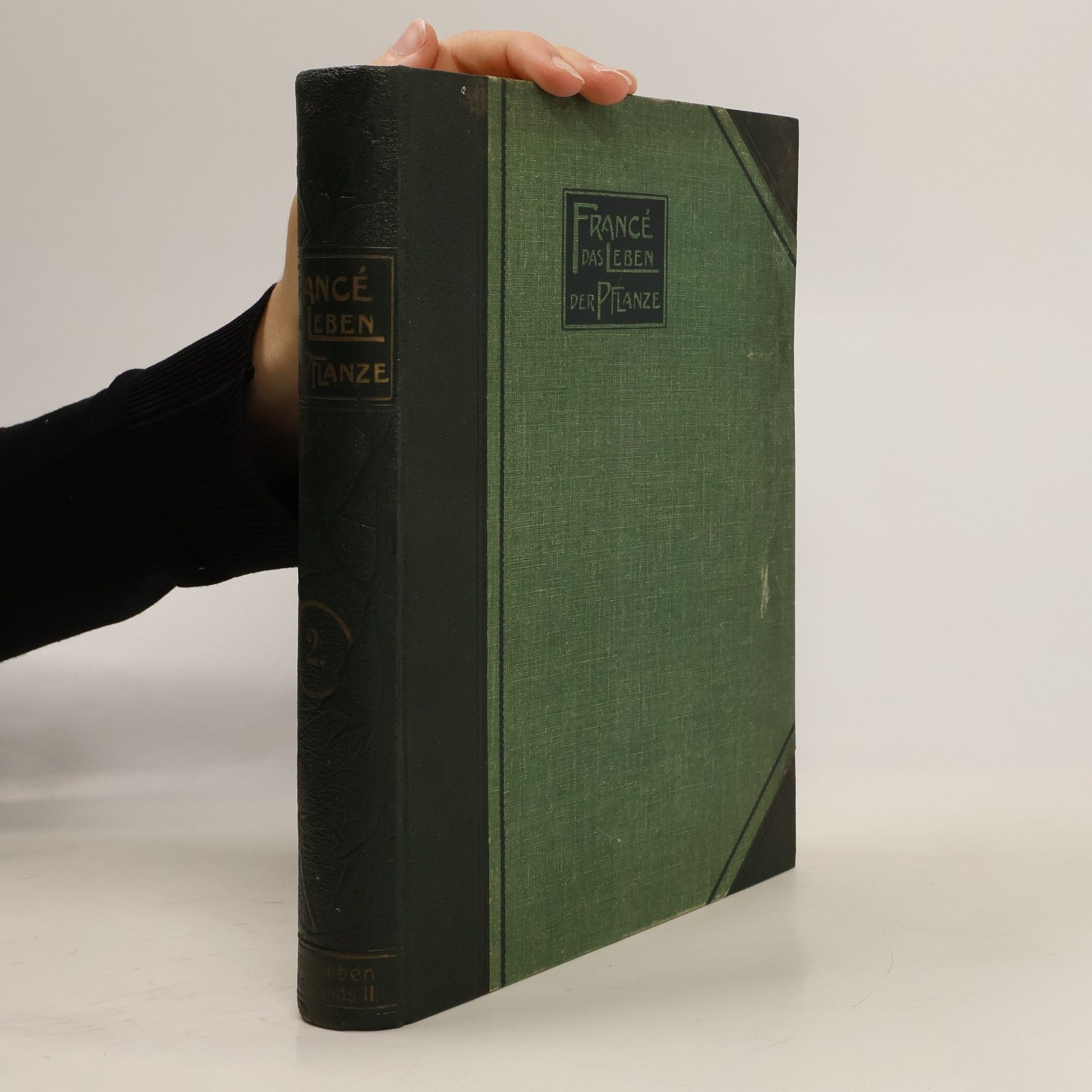 Das Pflanzenleben Deutschlands und seiner Nachbarländer II