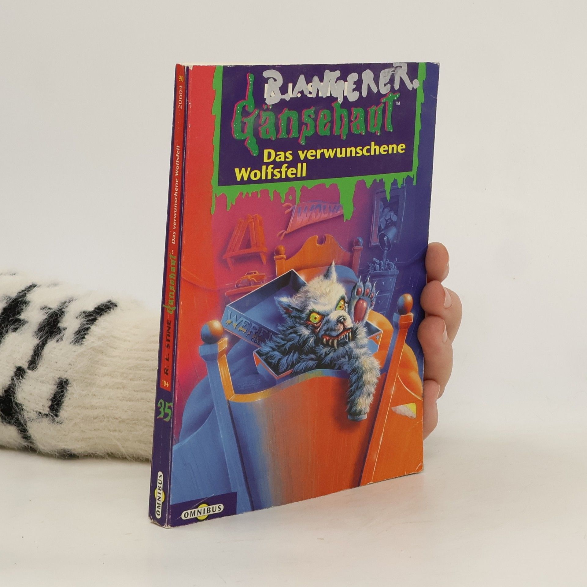 R. L. Stine Gänsehaut 35. Das verwunschene Wolfsfell