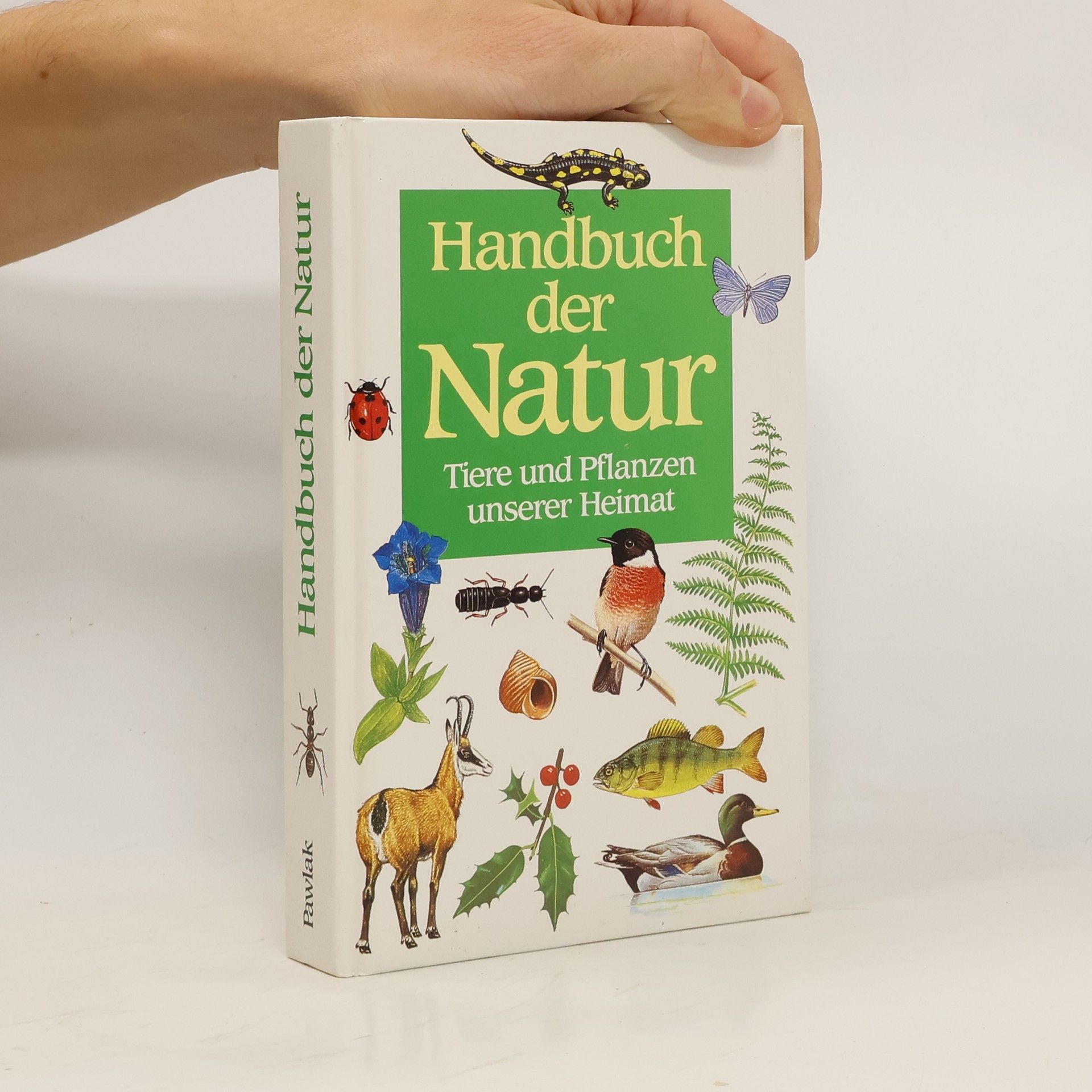 Marcus Würmli Handbuch der Natur