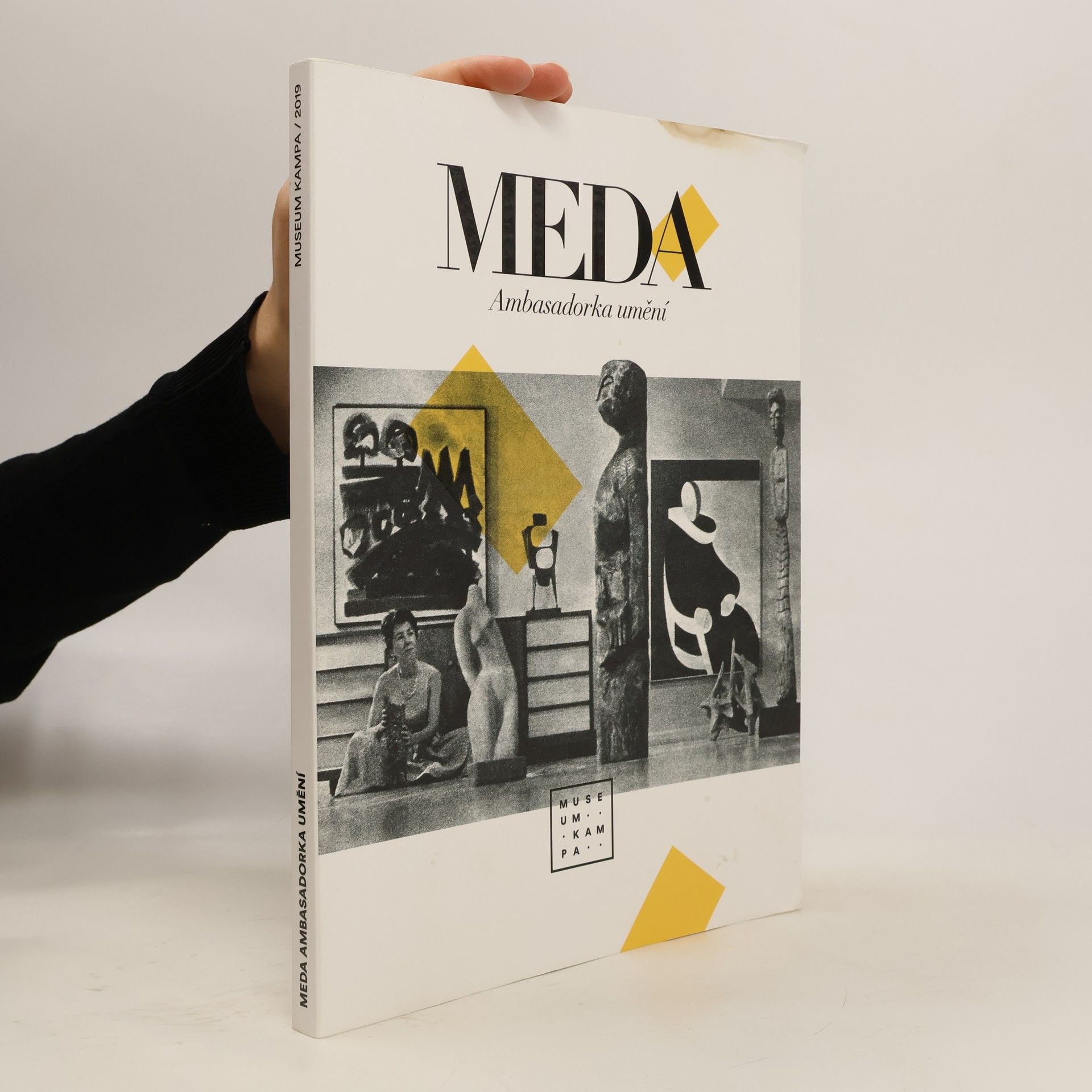 Pavel Liška Meda - ambasadorka umění