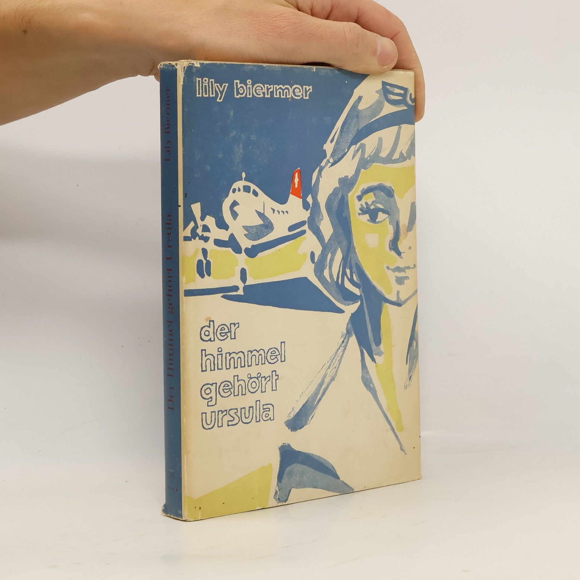 Lily Biermer Der Himmel gehört Ursula