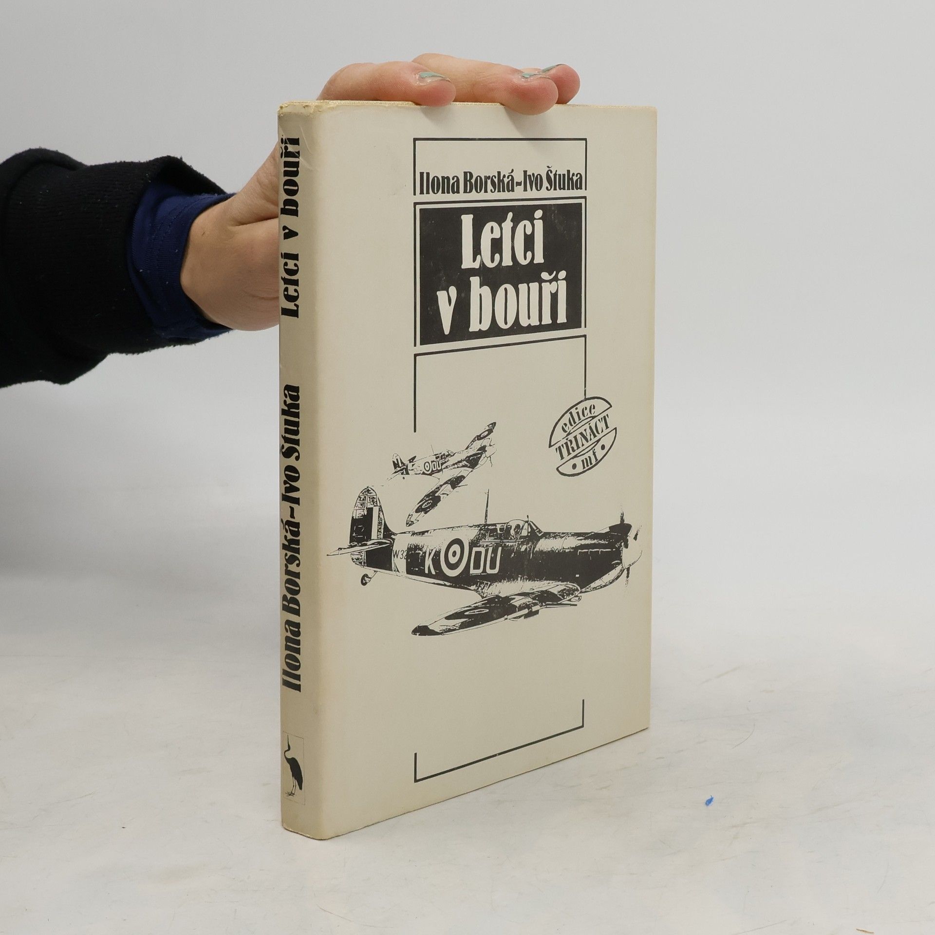 Ilona Borská Letci v bouři