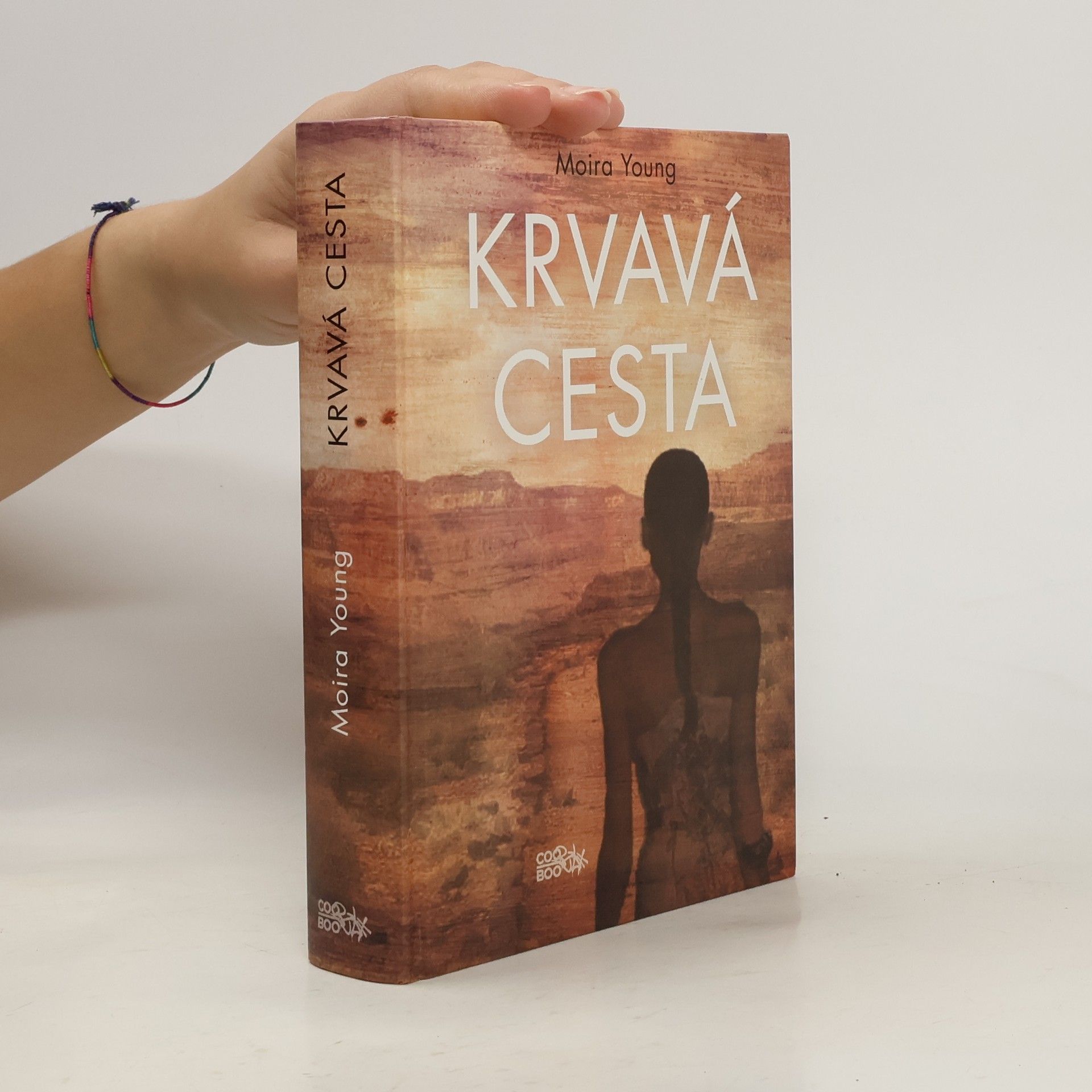 Moira Young Krvavá cesta