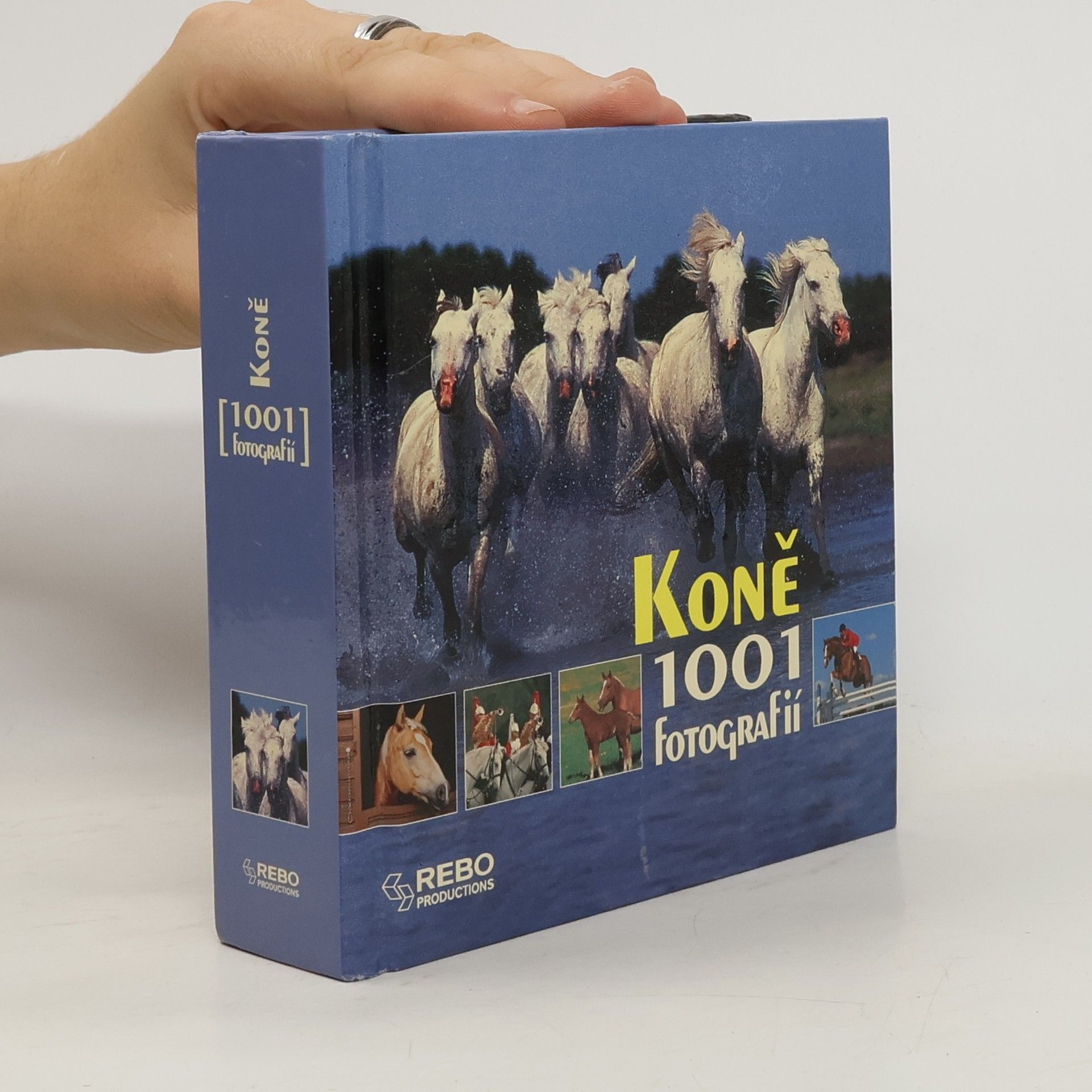 Collectif d'auteurs Koně. 1001 fotografií