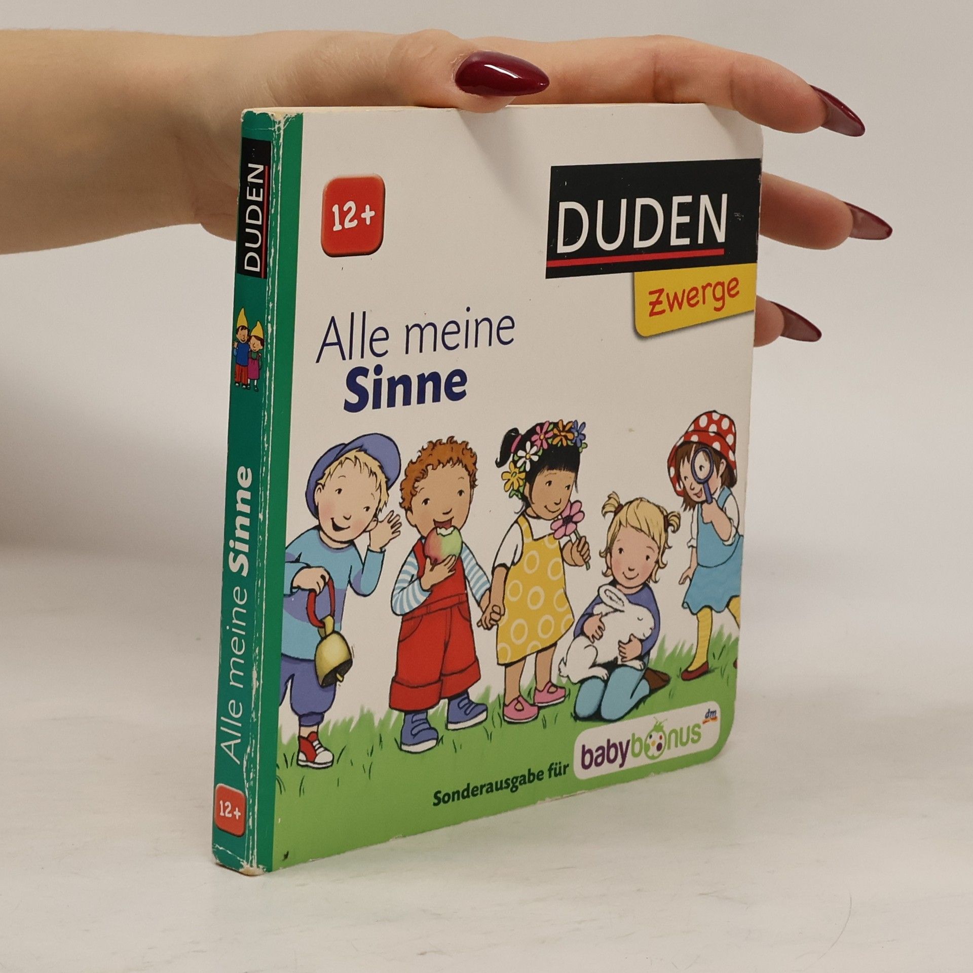 Autorenkollektiv Alle meine Sinne