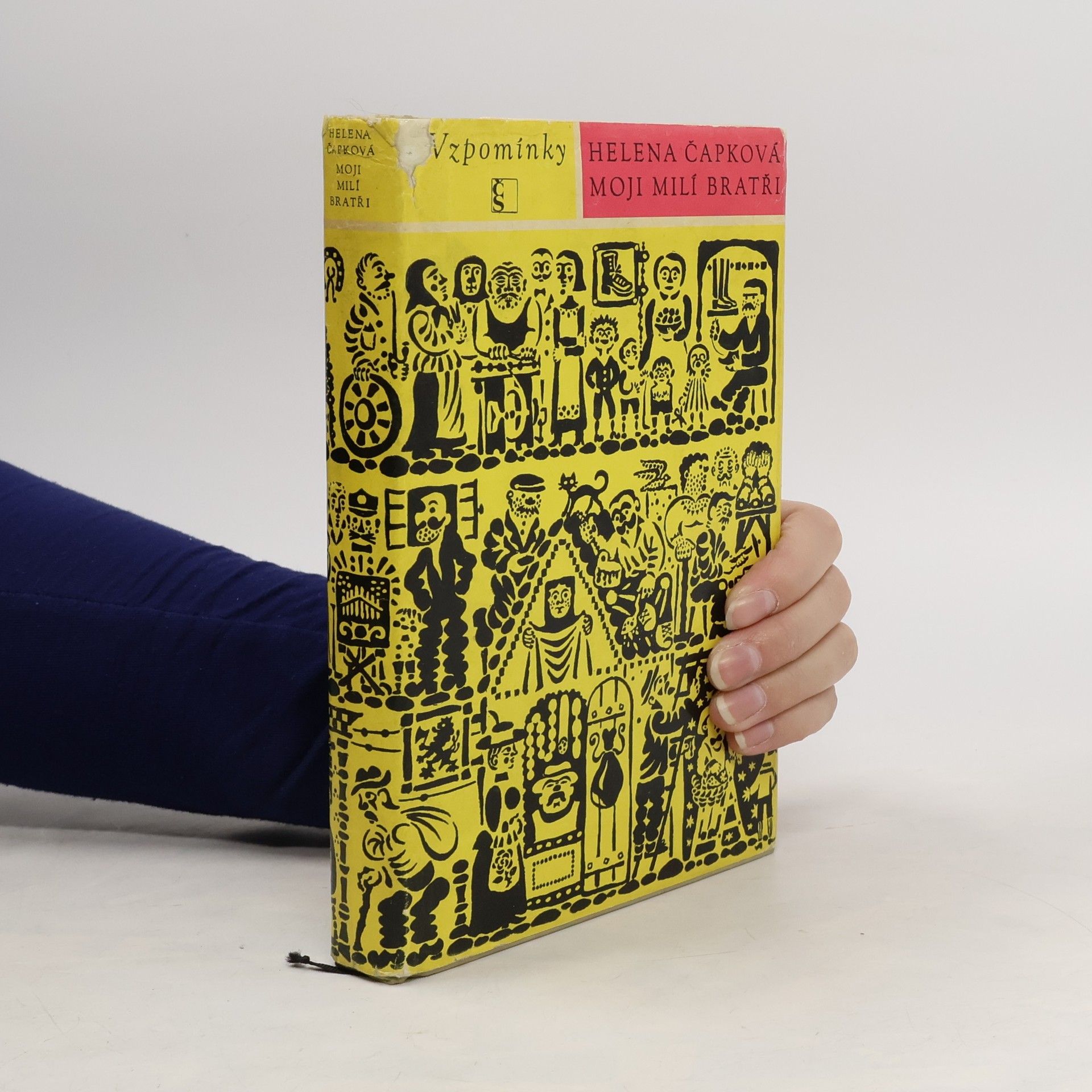 Helena Čapková Moji milí bratři
