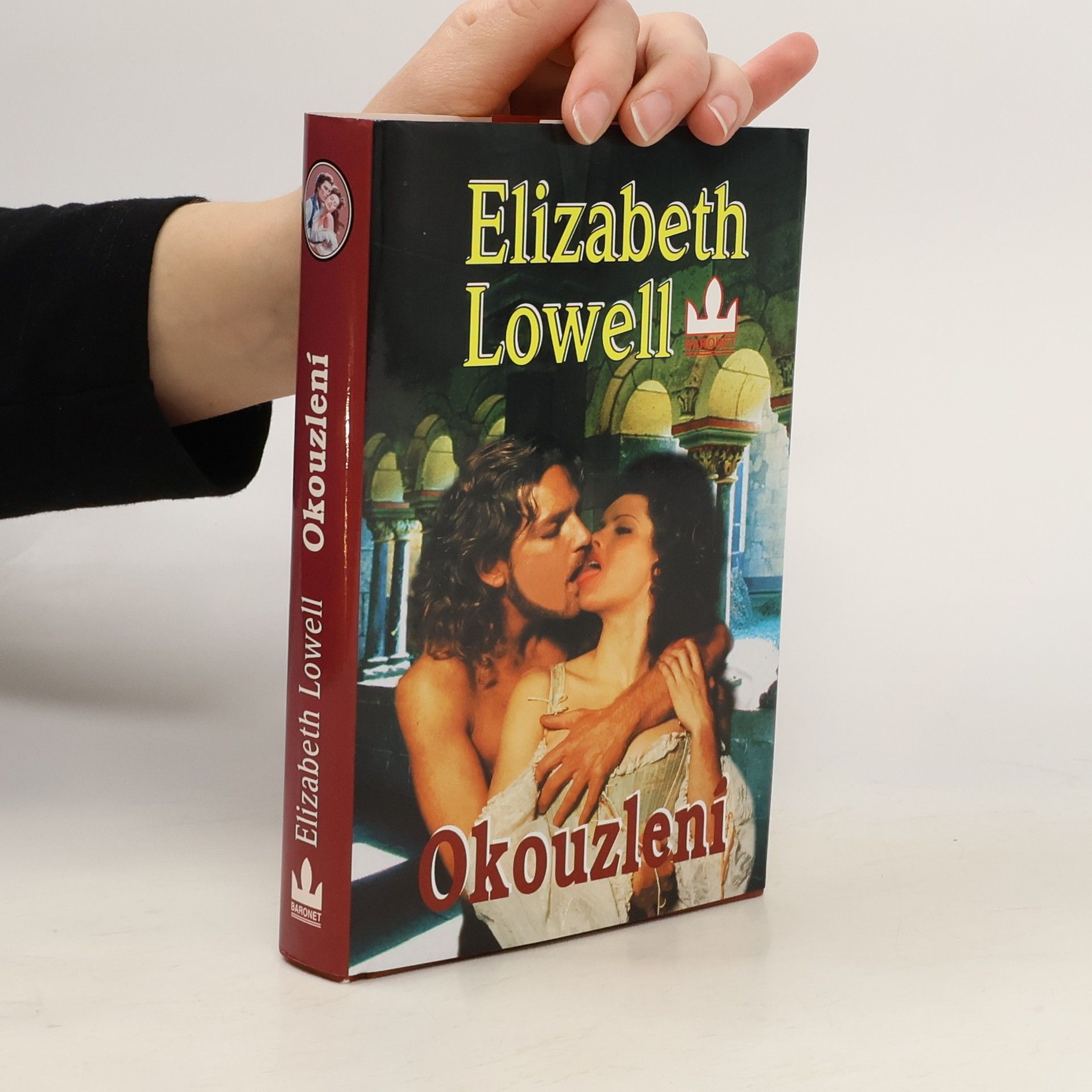 Elizabeth Lowell Okouzlení