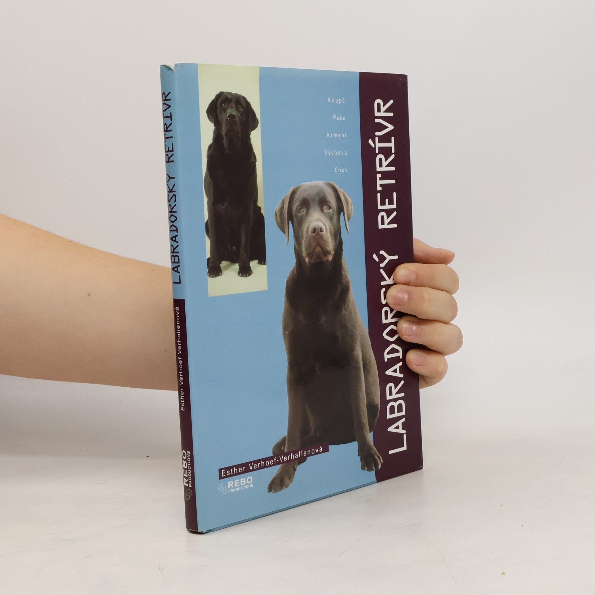 Labradorský retrívr