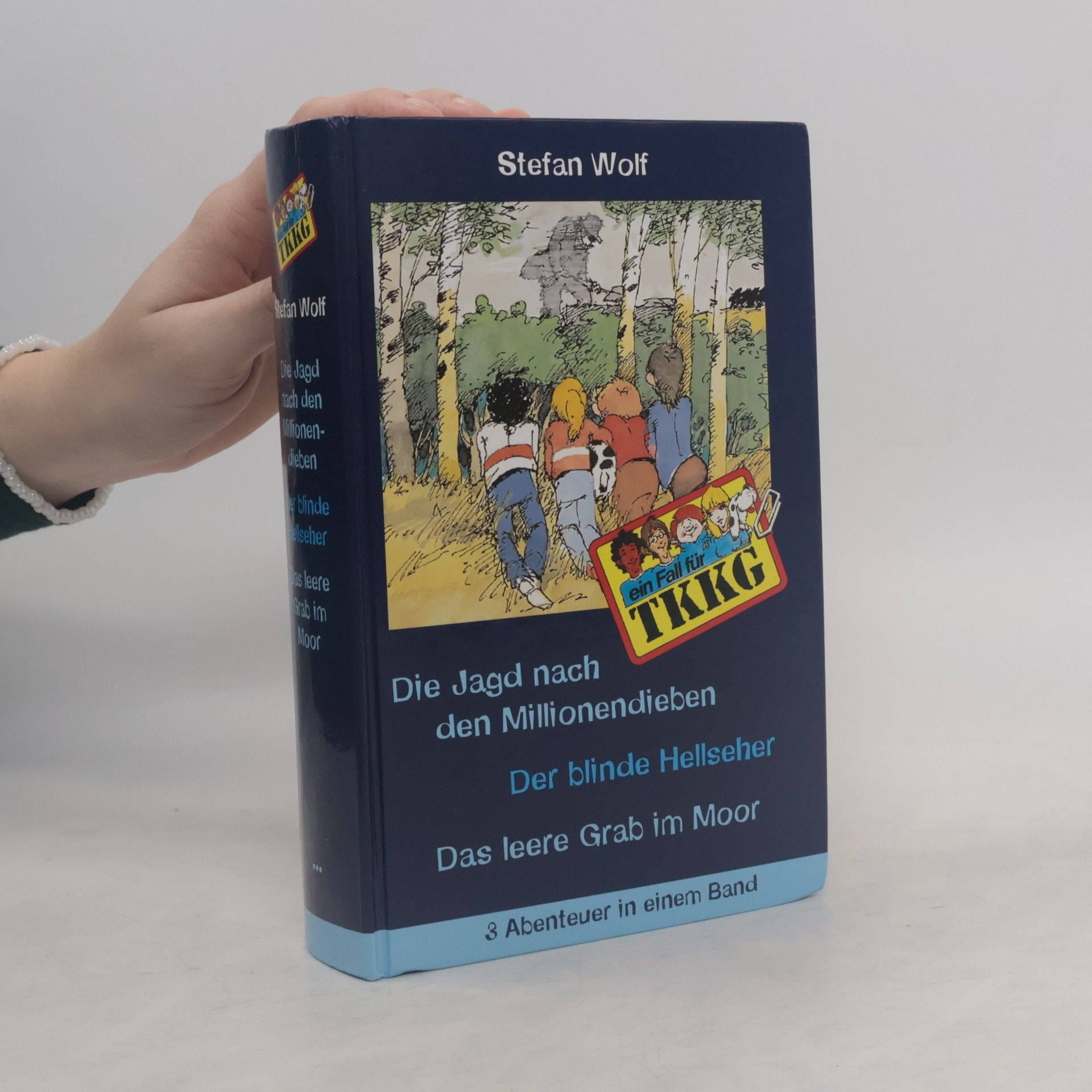 Stefan Wolf Die Jagd nach den Millionendieben. Der blinde Hellseher. Das leere Grab im Moor