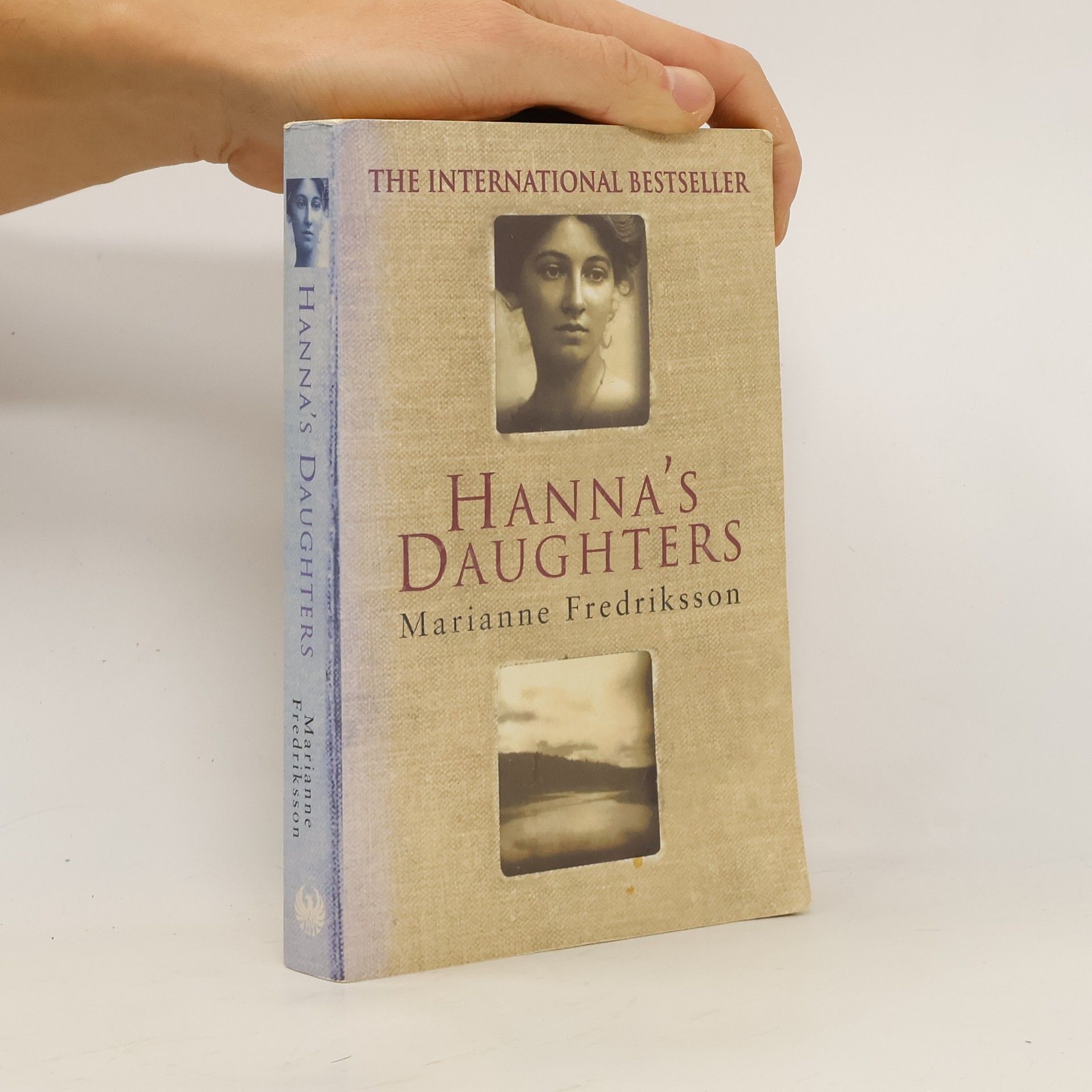 Marianne Fredriksson Hanna's Daughters