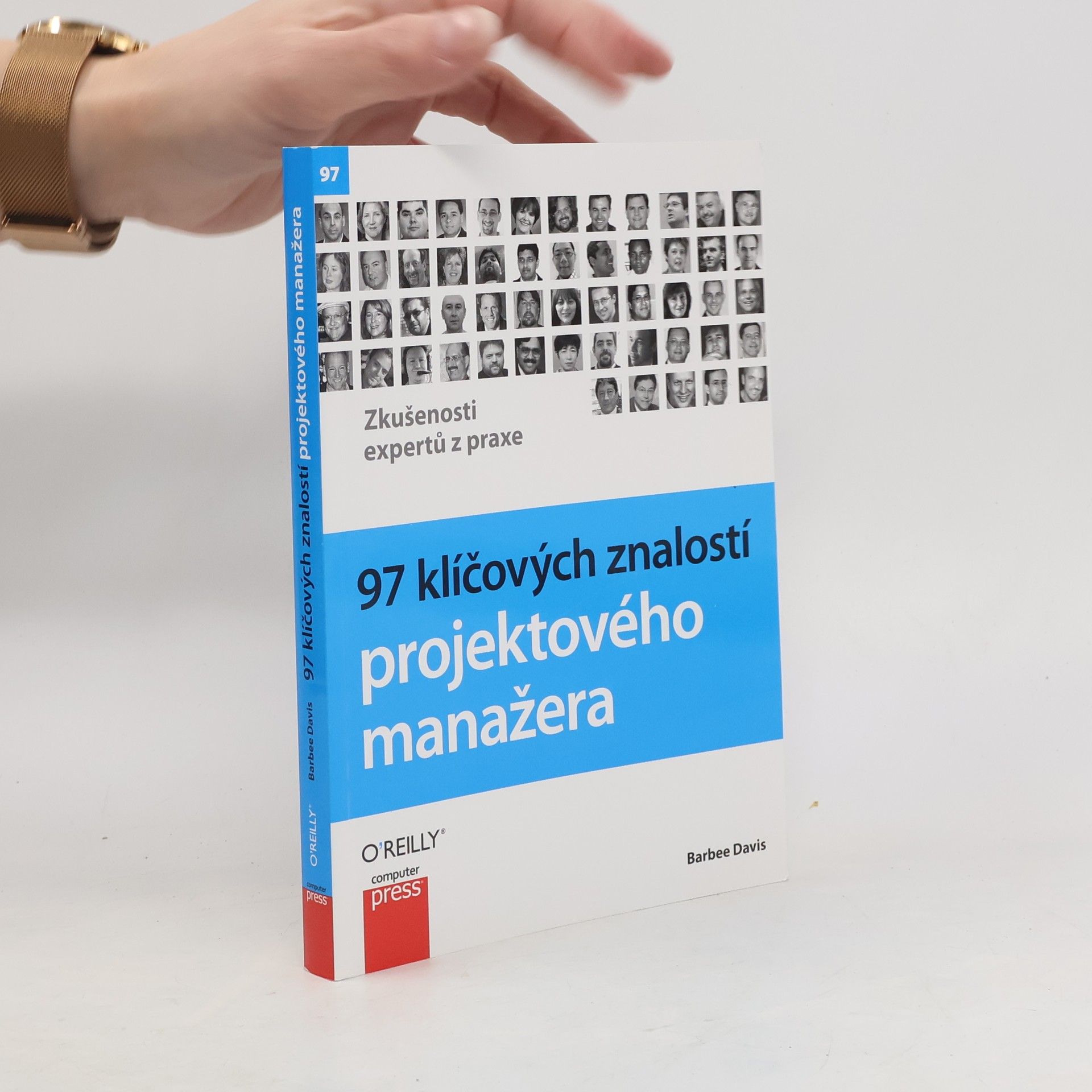 Barbee Davis 97 klíčových znalostí projektového manažera