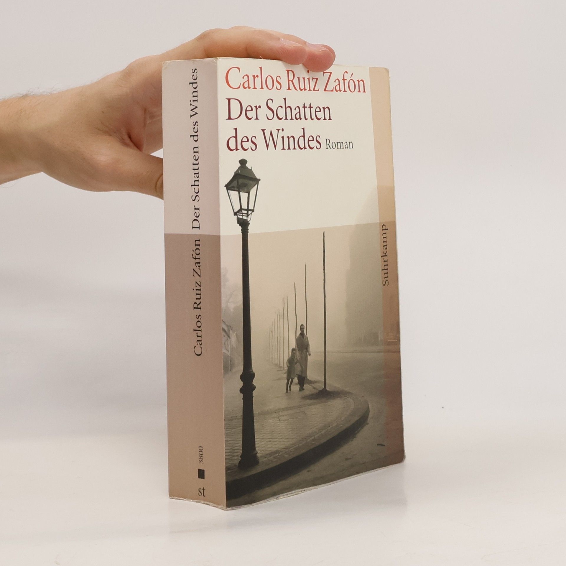 Carlos Ruiz Zafón Der Schatten des Windes