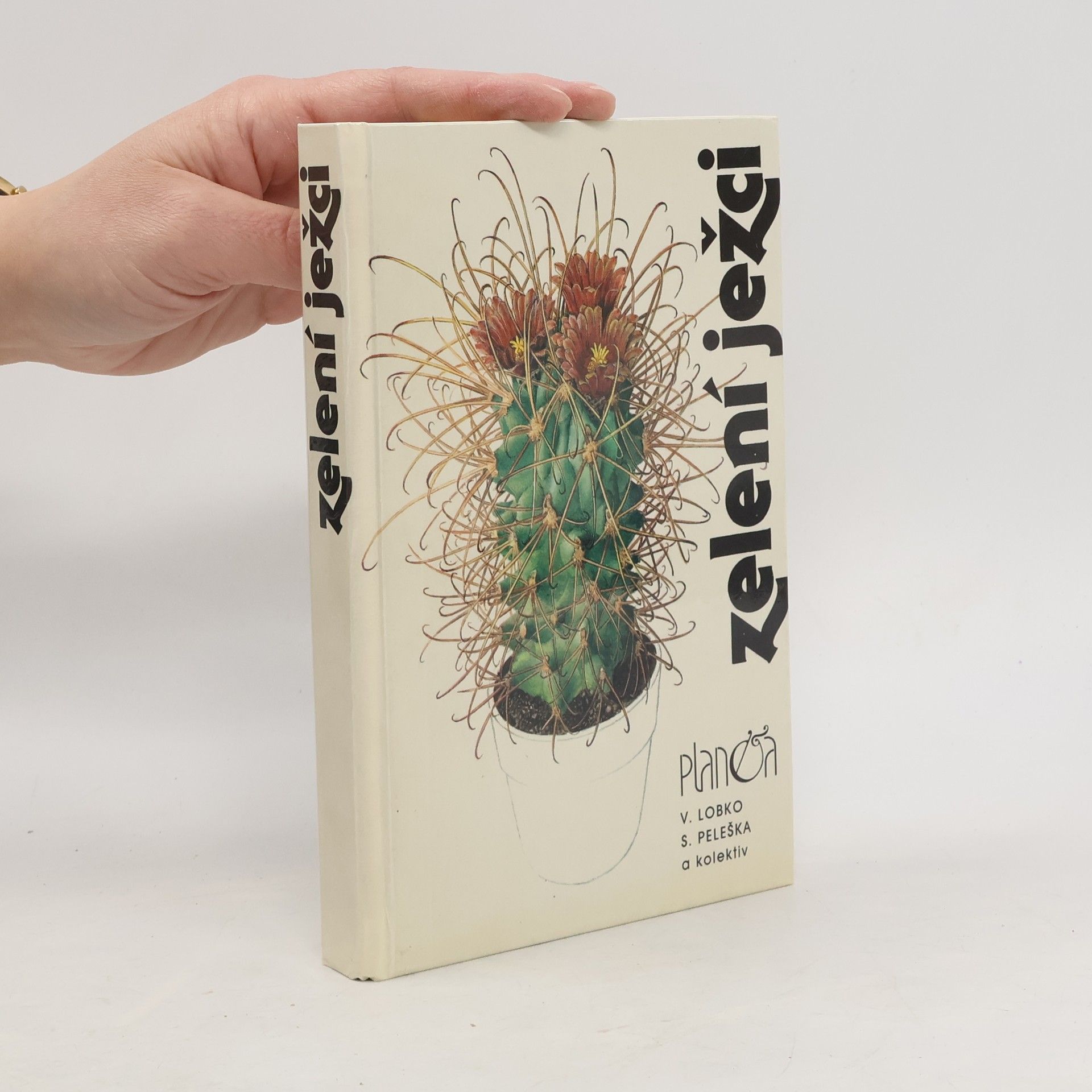 Valerij Dmitrijevič Lobko Zelení ježci