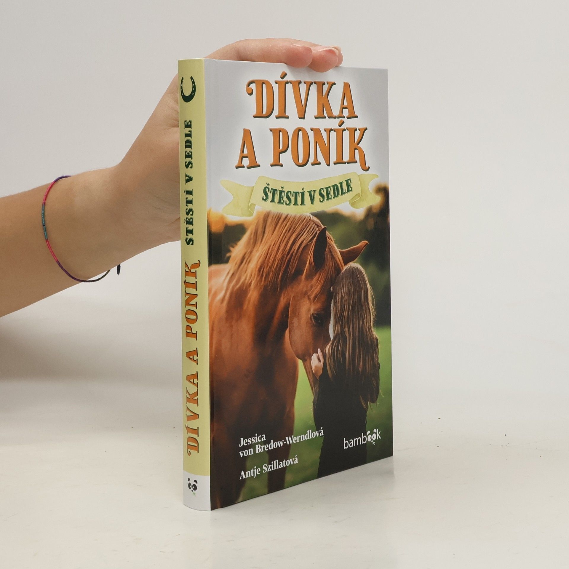 Dívka a poník - Štěstí v sedle