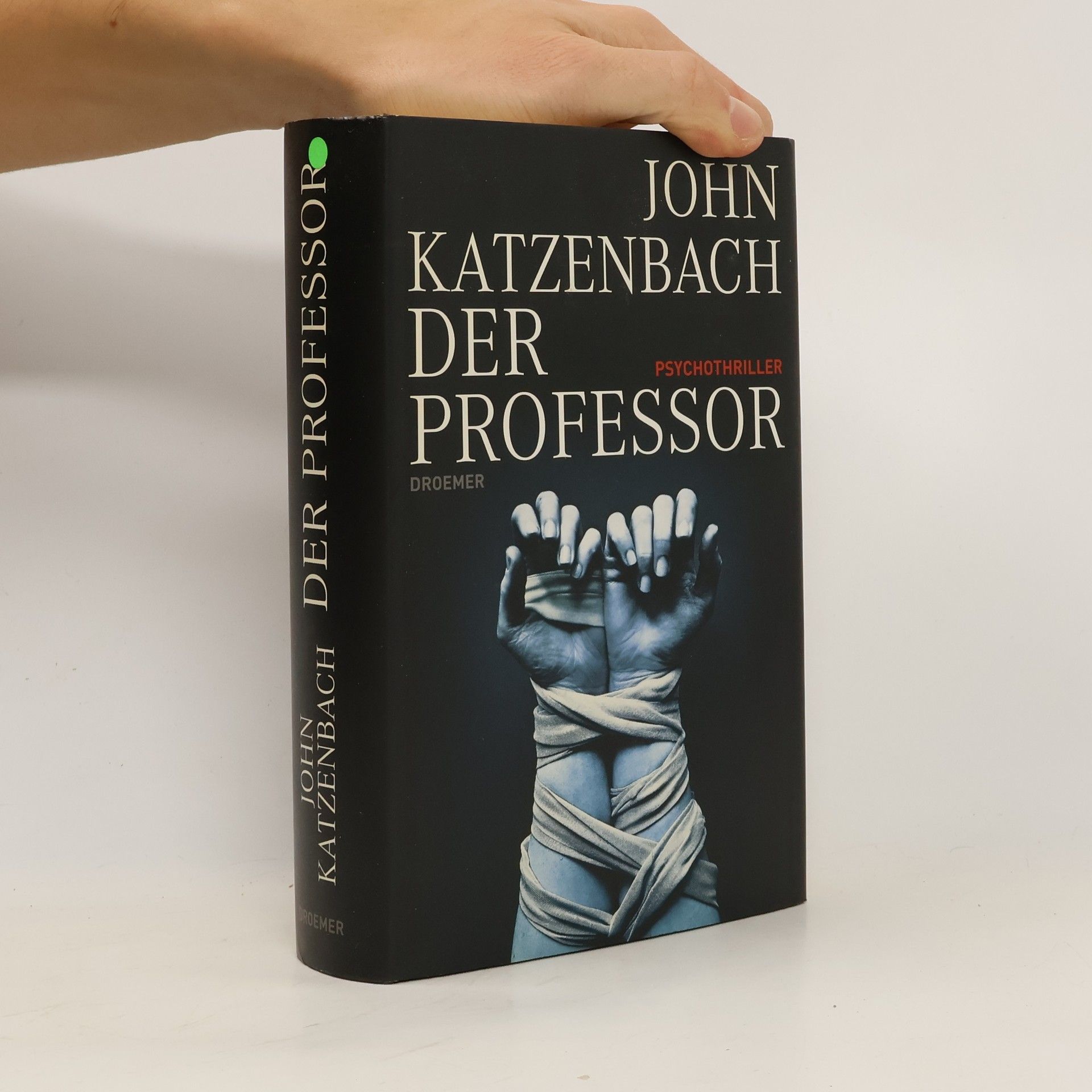 John Katzenbach Der Professor