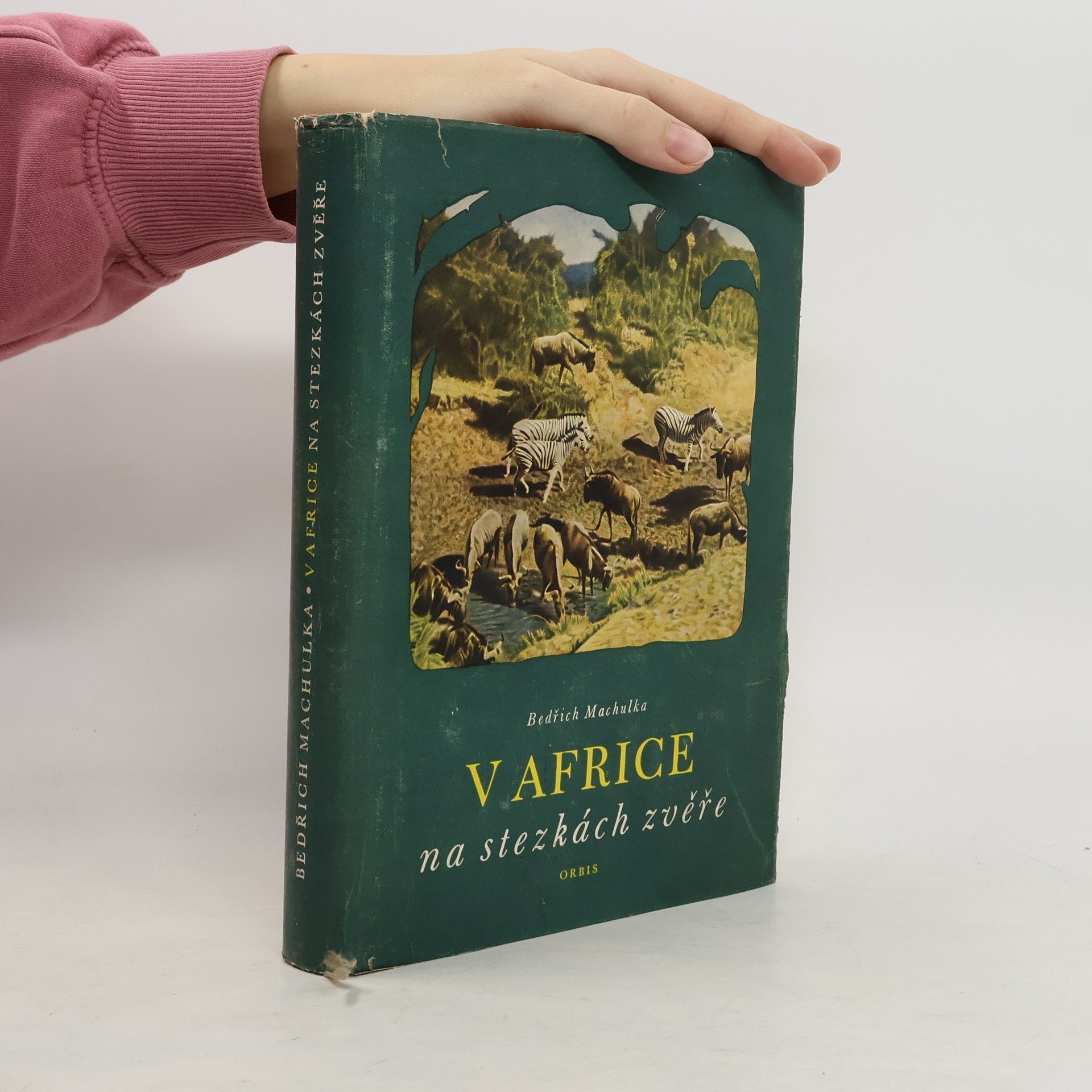 V Africe na stezkách zvěře