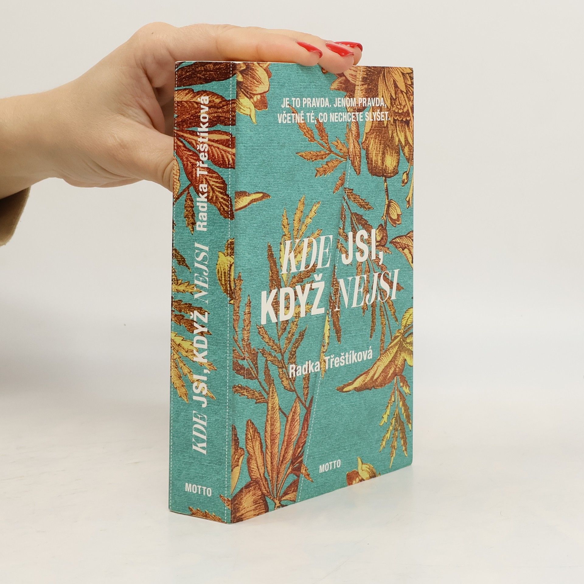 Radka Třeštíková Kde jsi, když nejsi