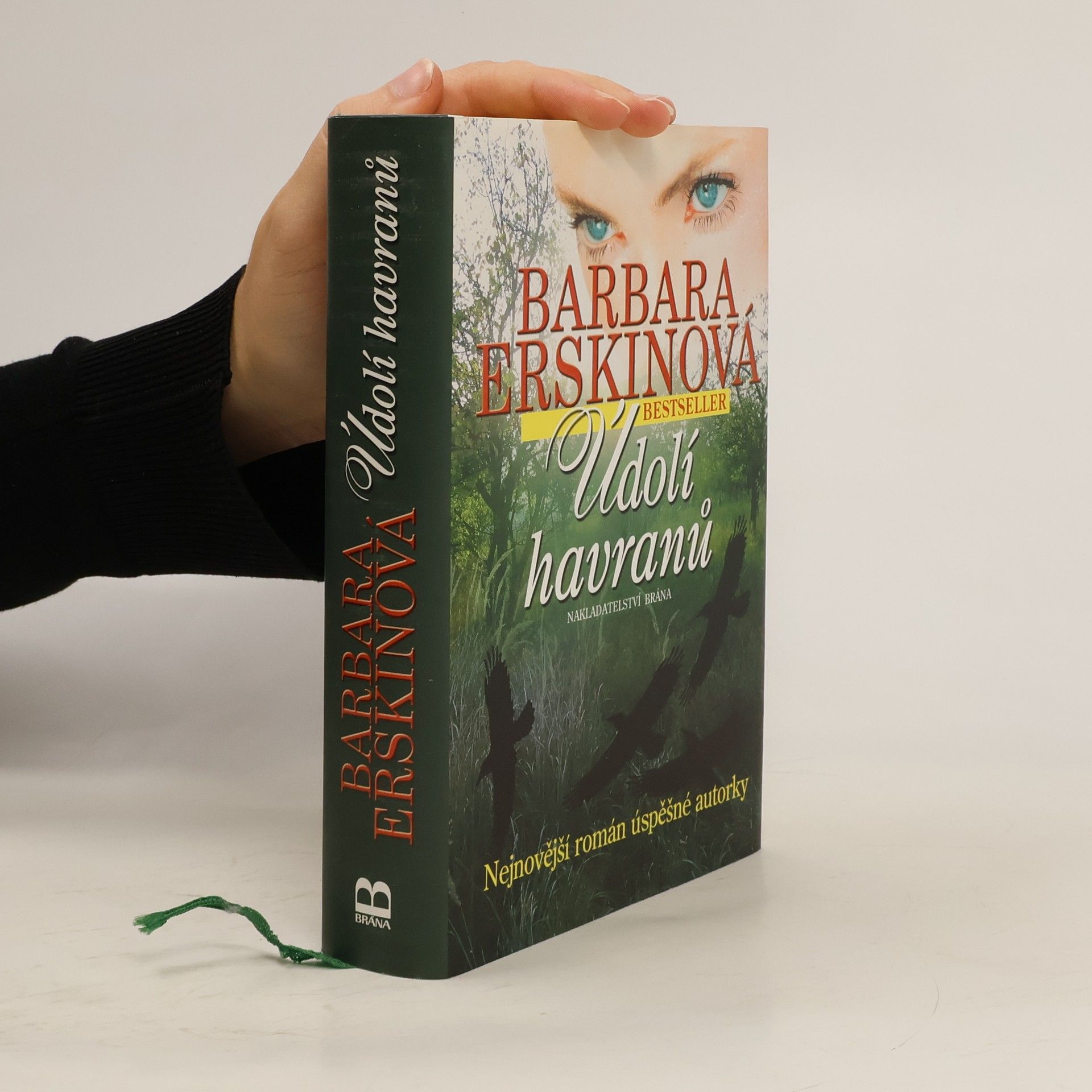 Barbara Erskinová Údolí havranů