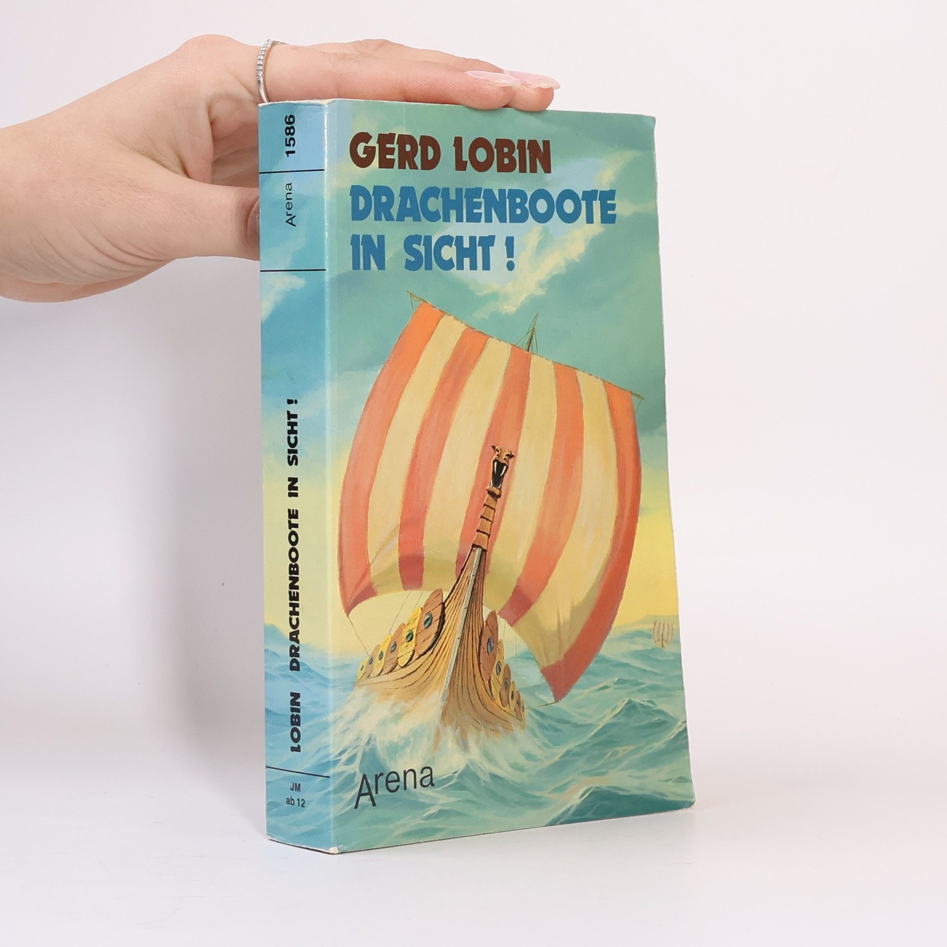 Drachenboote in Sicht!