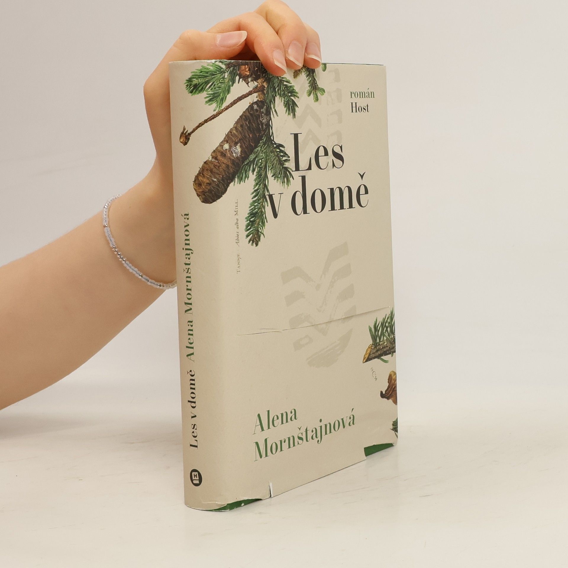 Alena Mornštajnová Les v domě