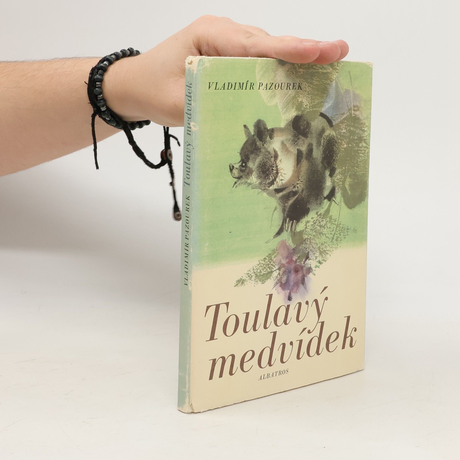 Vladimír Pazourek Toulavý medvídek