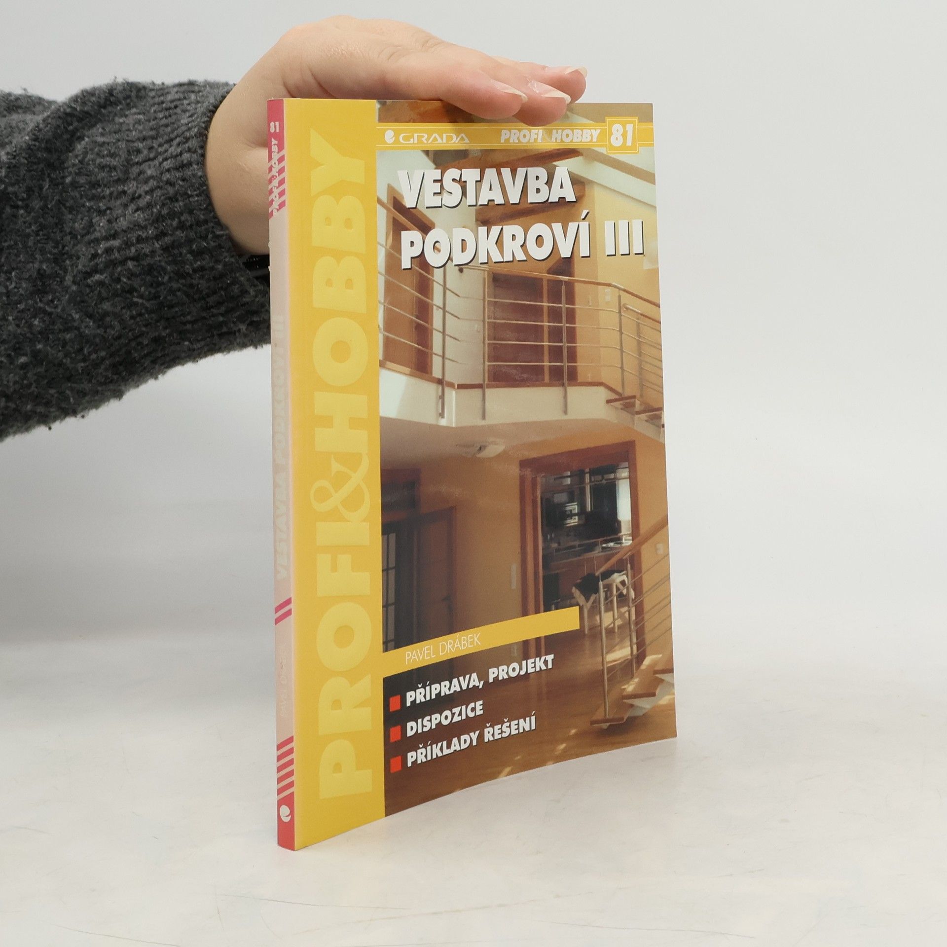 Pavel Drábek Vestavba podkroví III