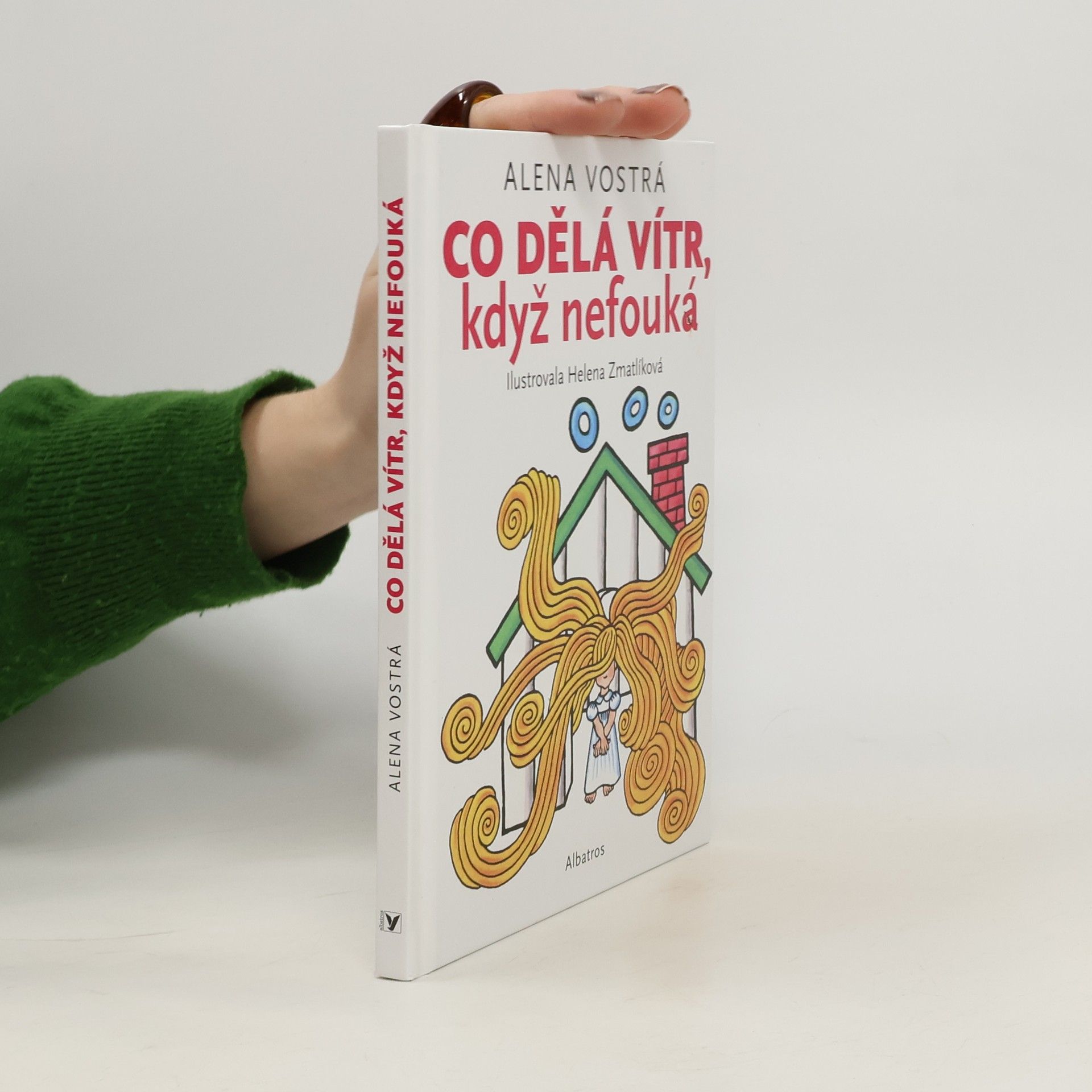Alena Vostrá Co dělá vítr, když nefouká