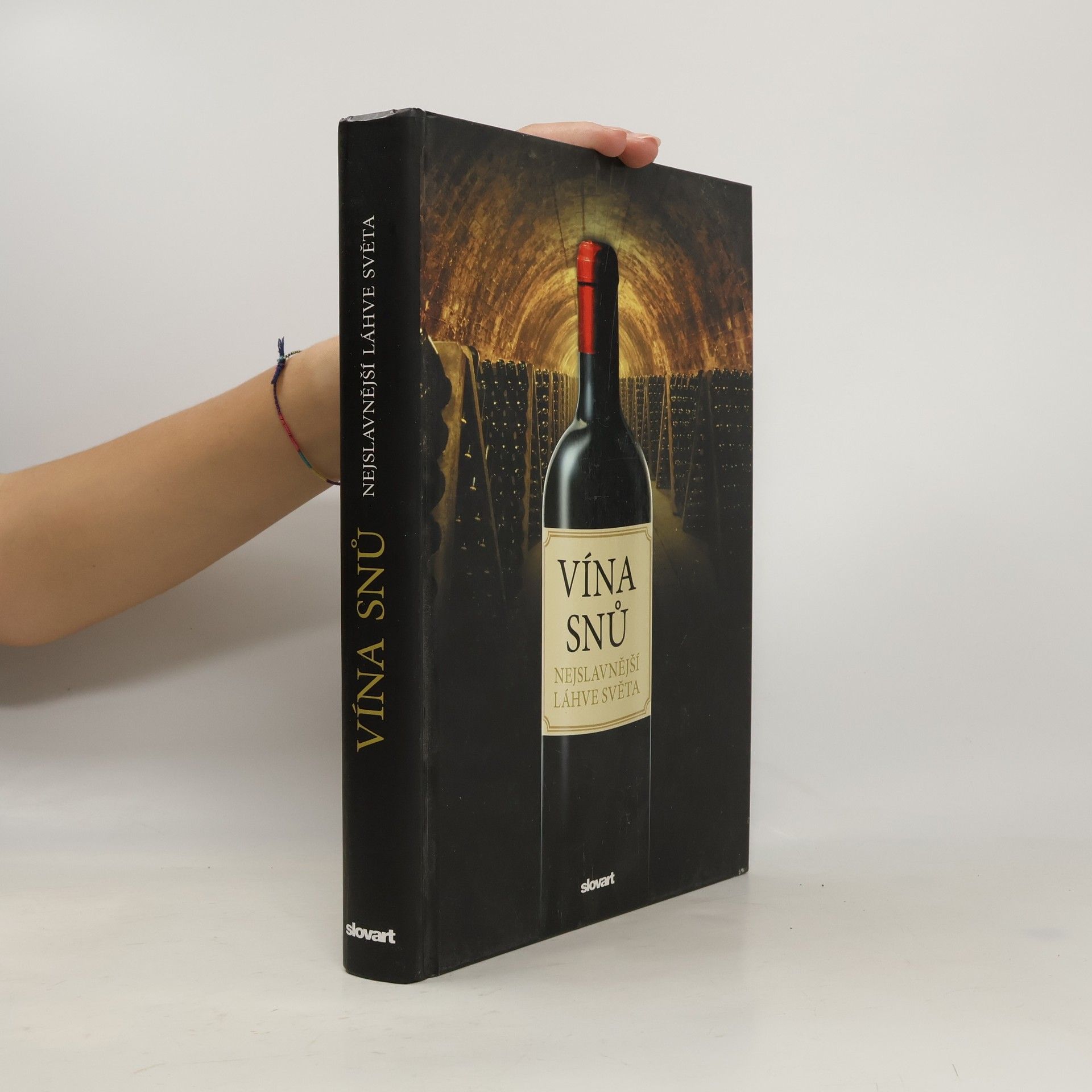 Sylvie Girard Lagorce Vína snů