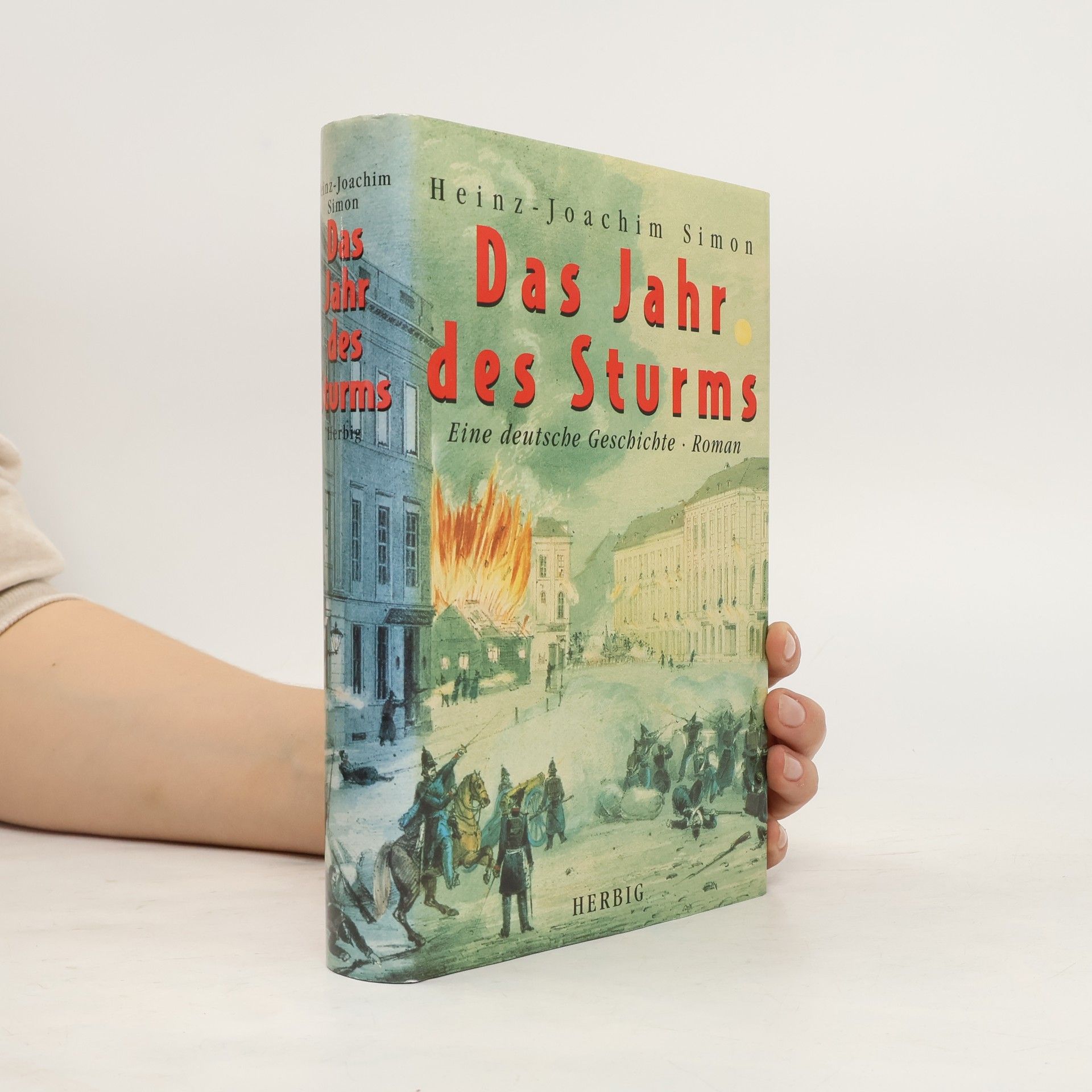 Das Jahr des Sturms. Eine deutsche Geschichte