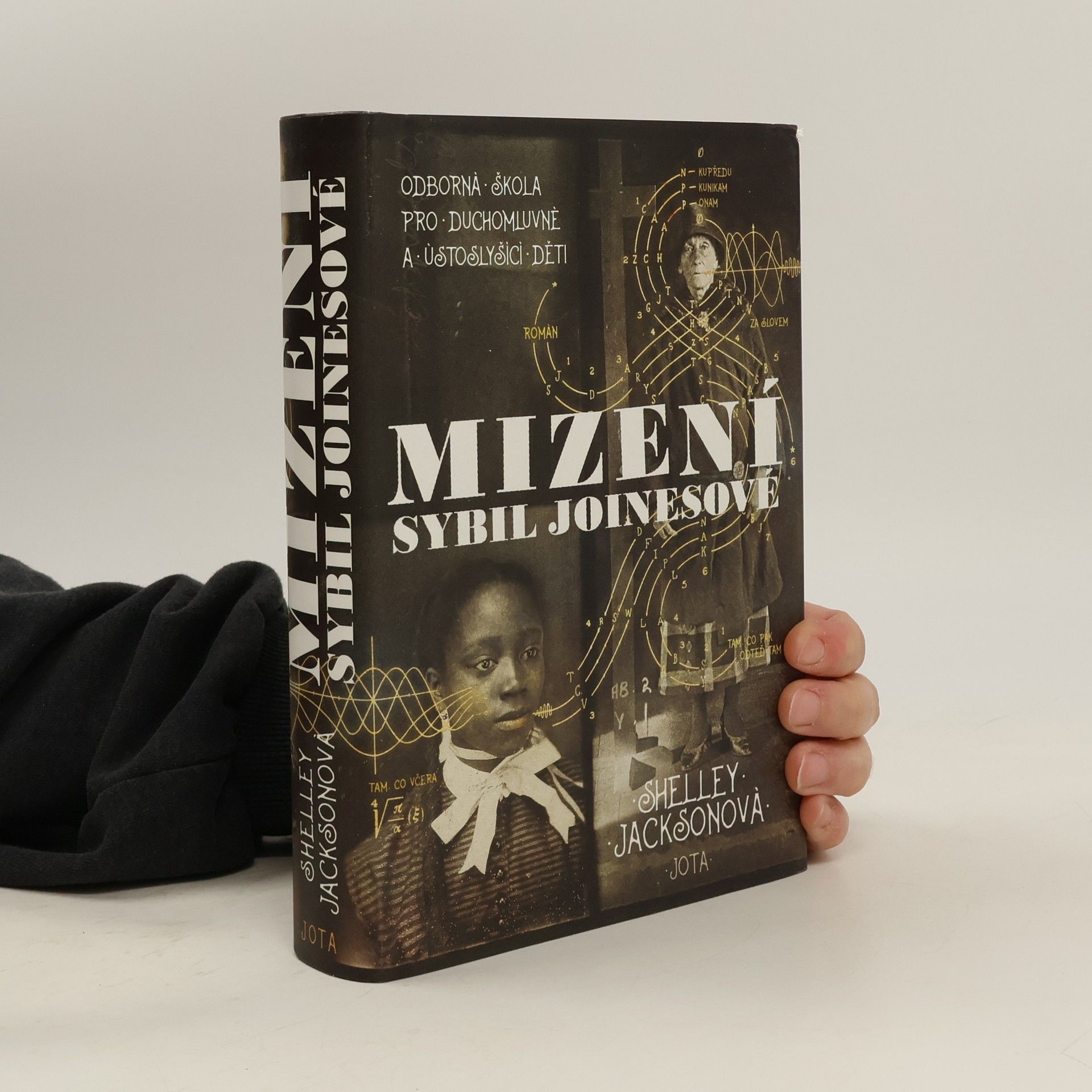 Shelley Jackson Mizení Sybil Joinesové