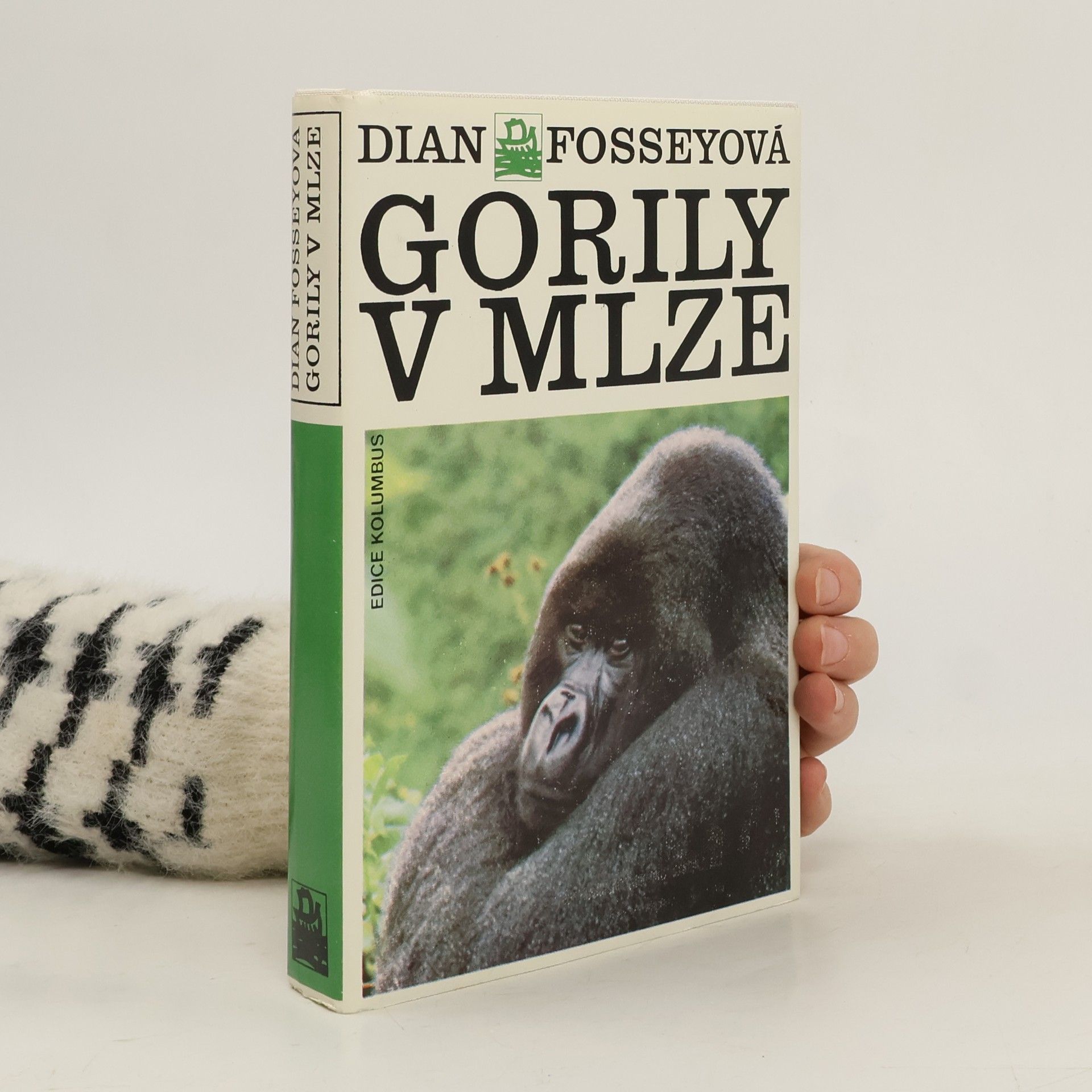 Dian Fossey Gorily v mlze