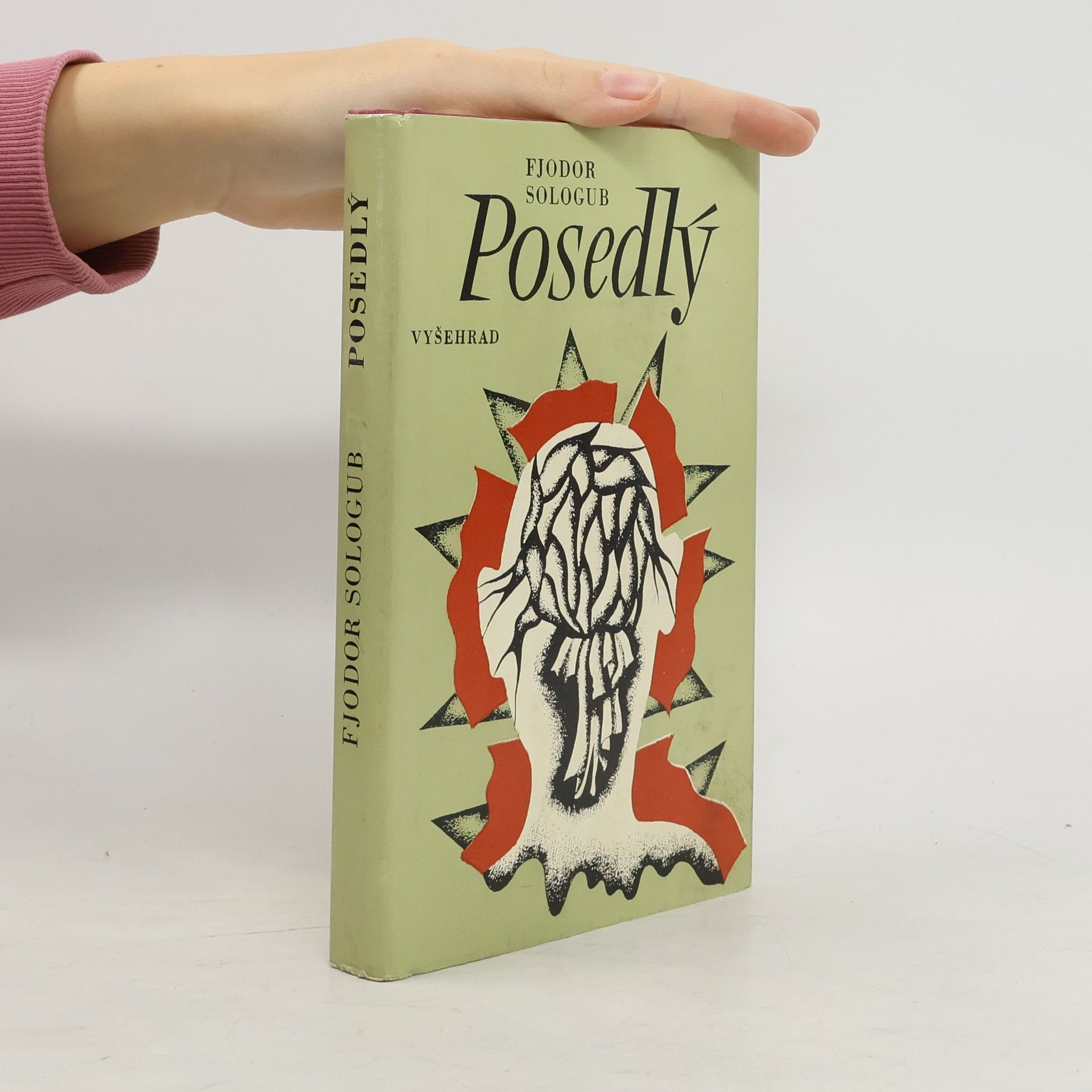 Fjodor Sologub Posedlý