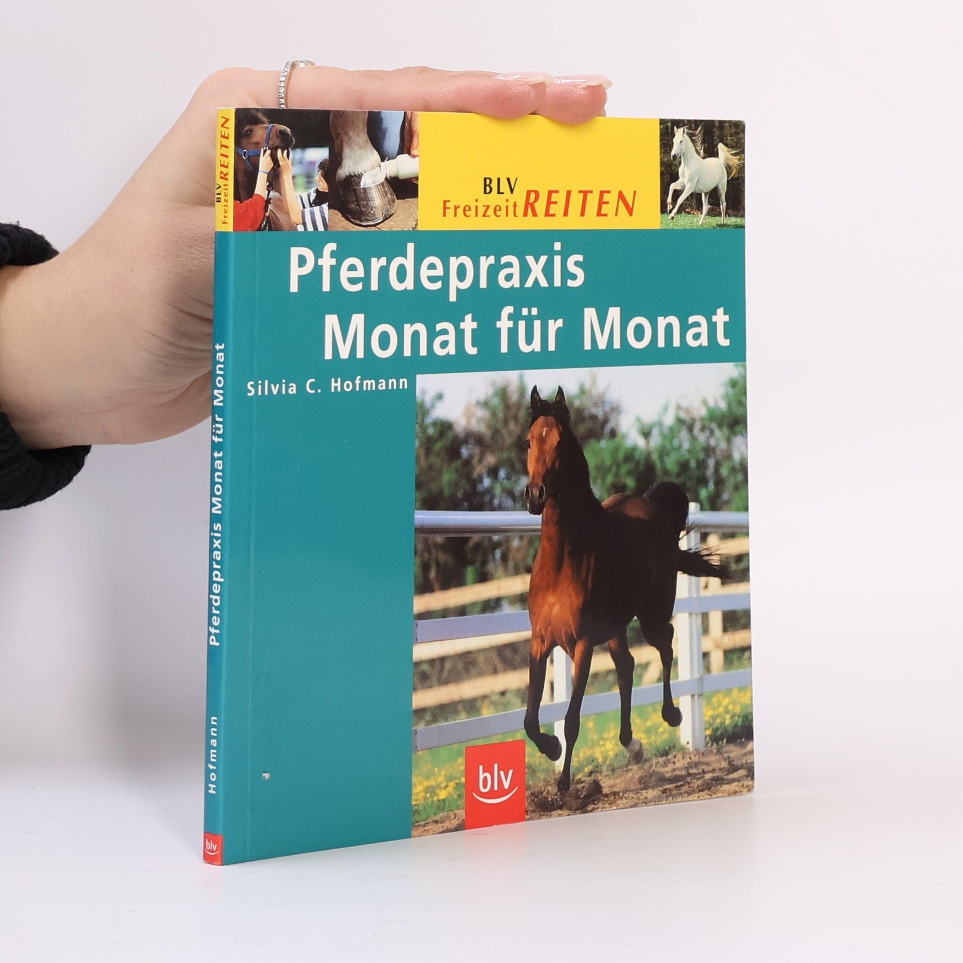 Silvia Christine Hofmann Pferdepraxis Monat für Monat
