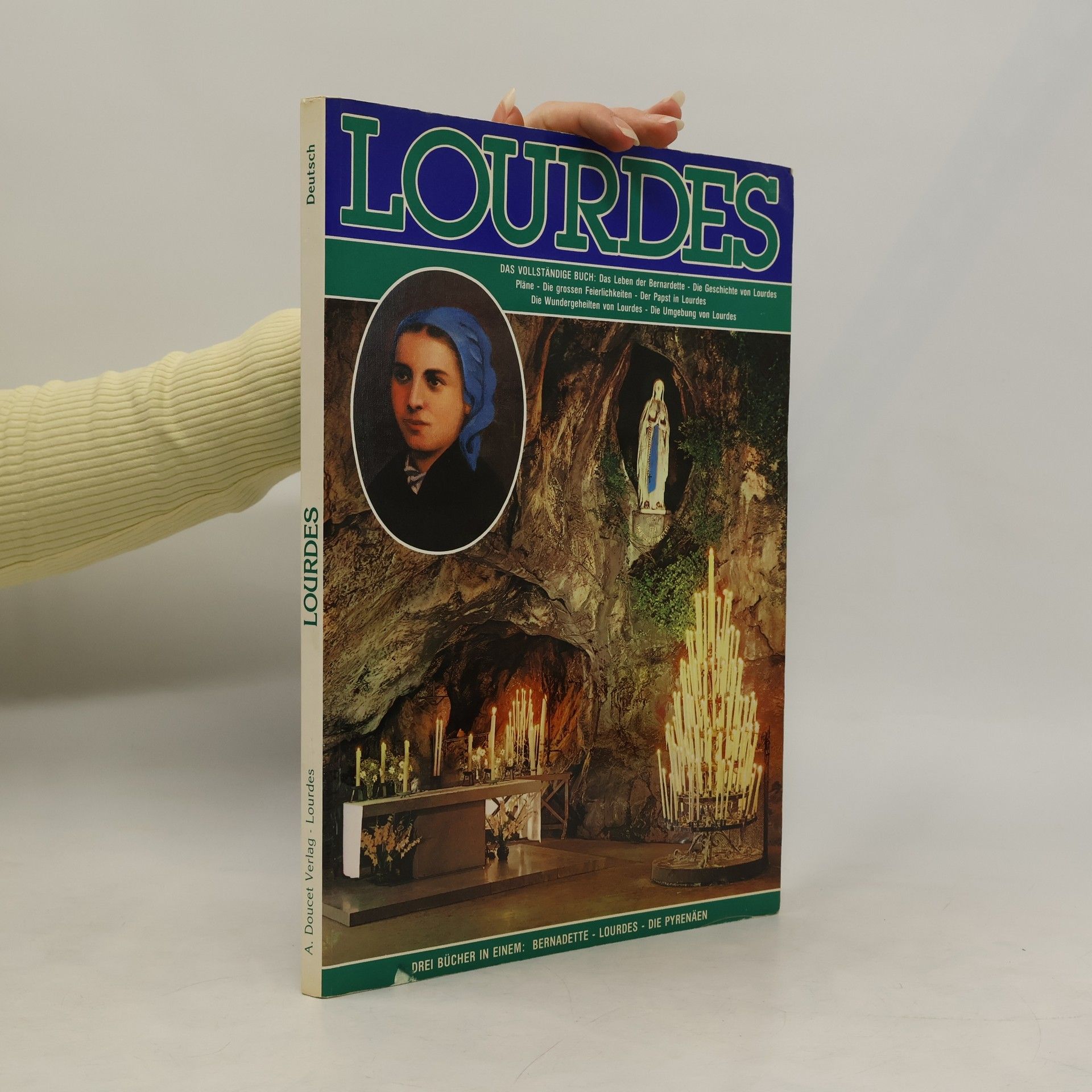 Collectif d'auteurs Lourdes