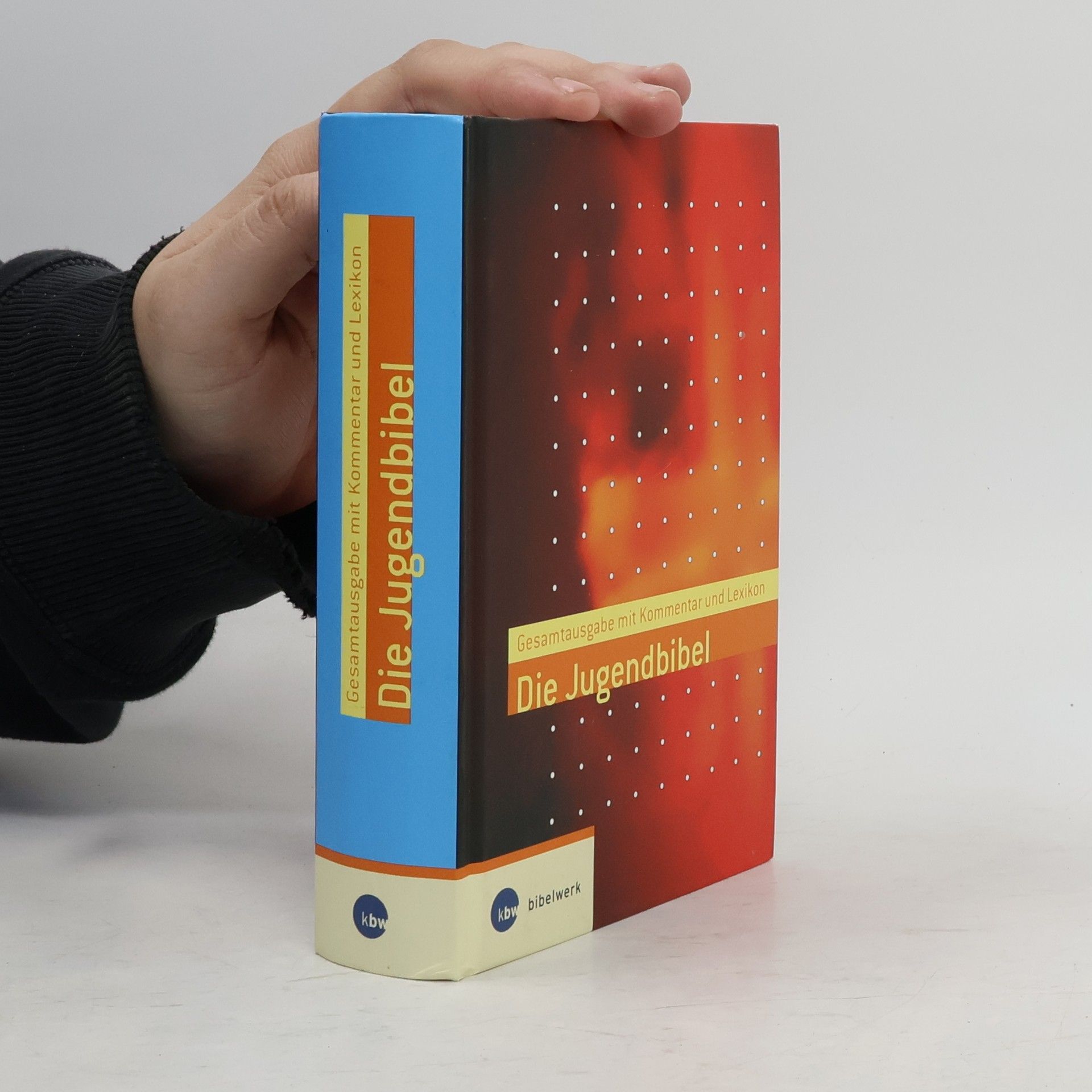 Rainer Dillmann Die Jugendbibel