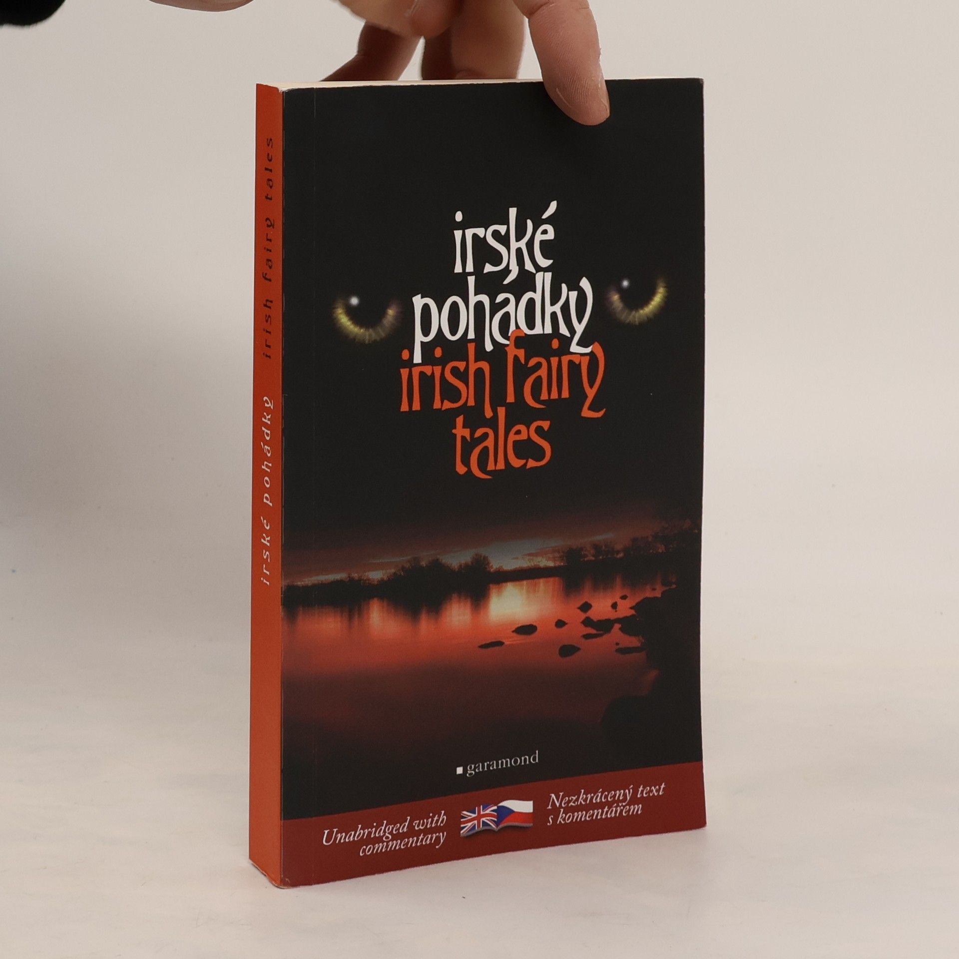 Lukáš Houdek Irish fairy tales = Irské pohádky