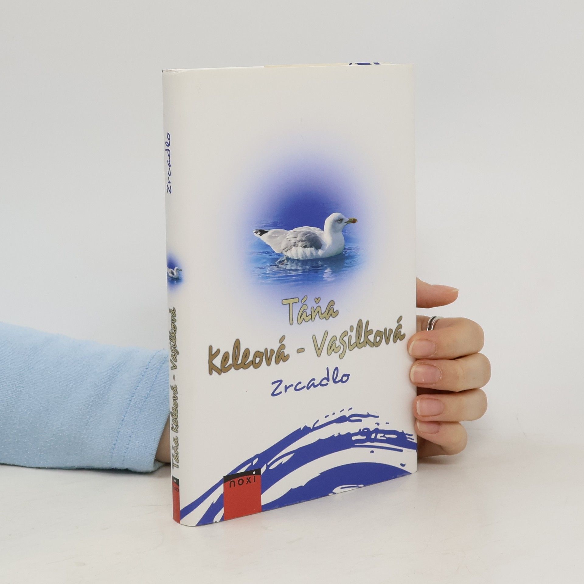 Táňa Keleová Vasilková Zrcadlo