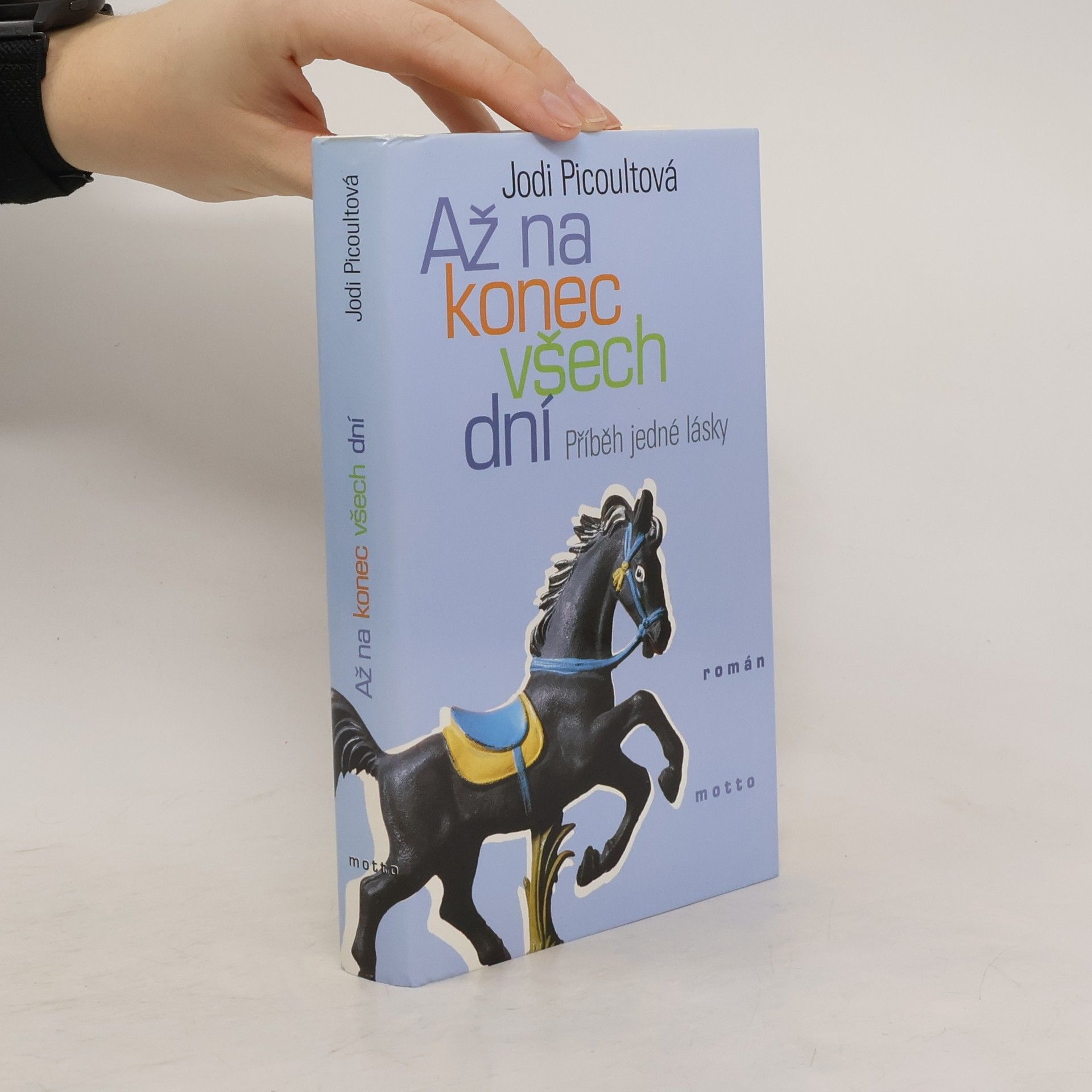 Jodi Picoult Až na konec všech dní : příběh jedné lásky
