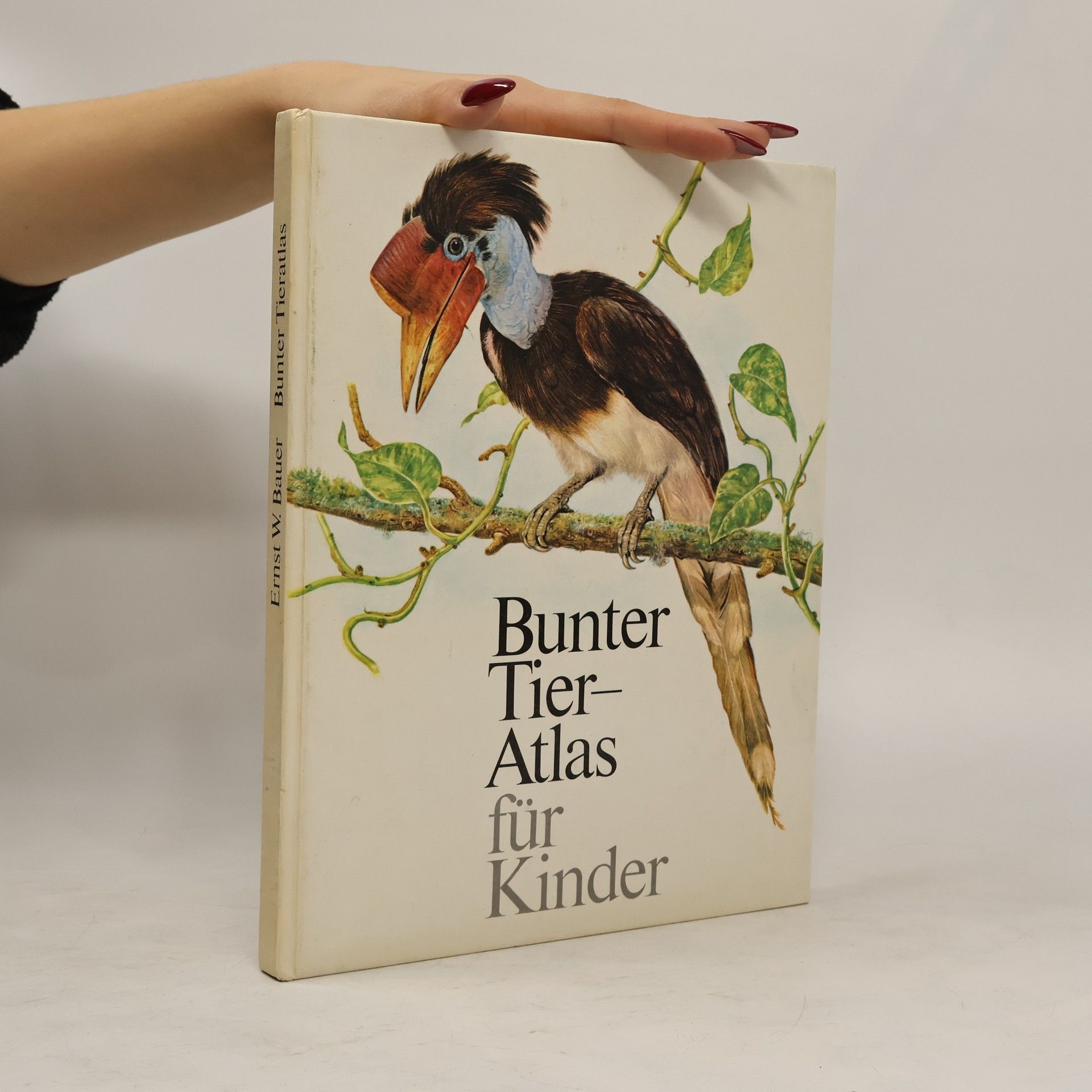 Autorenkollektiv Bunter Tieratlas für Kinder
