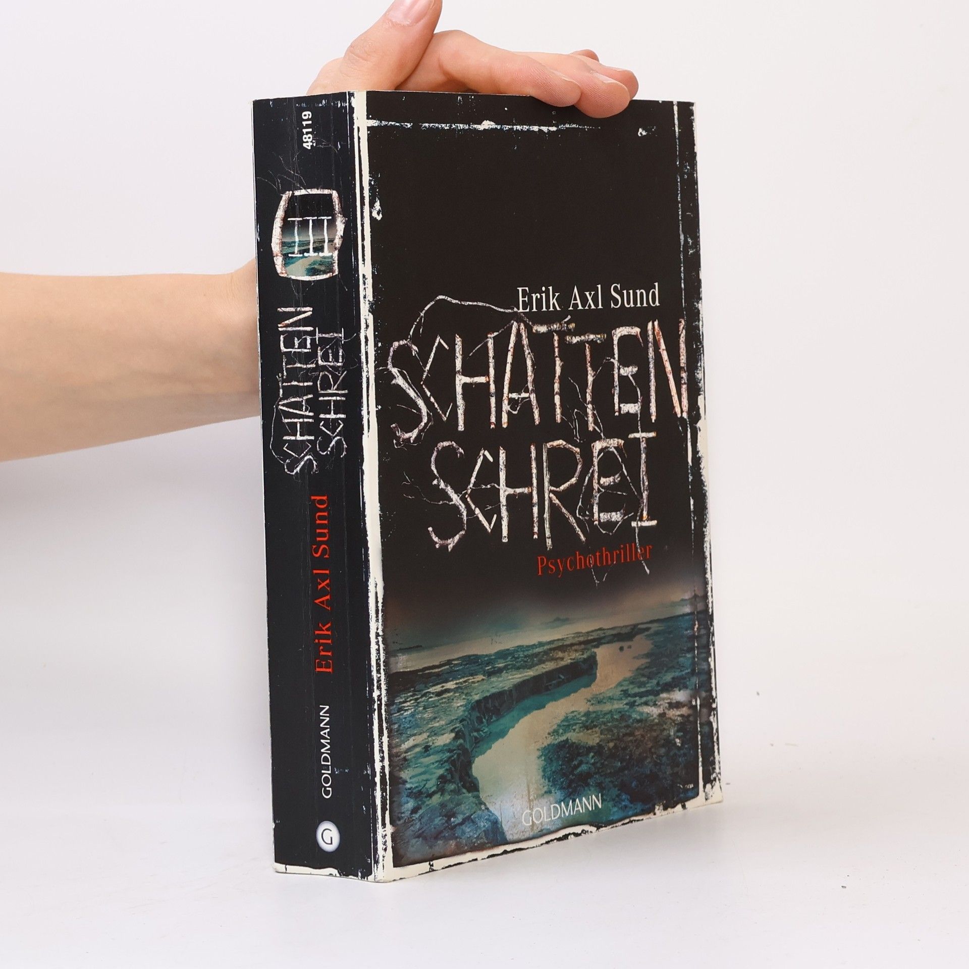 Erik Axl Sund Schattenschrei