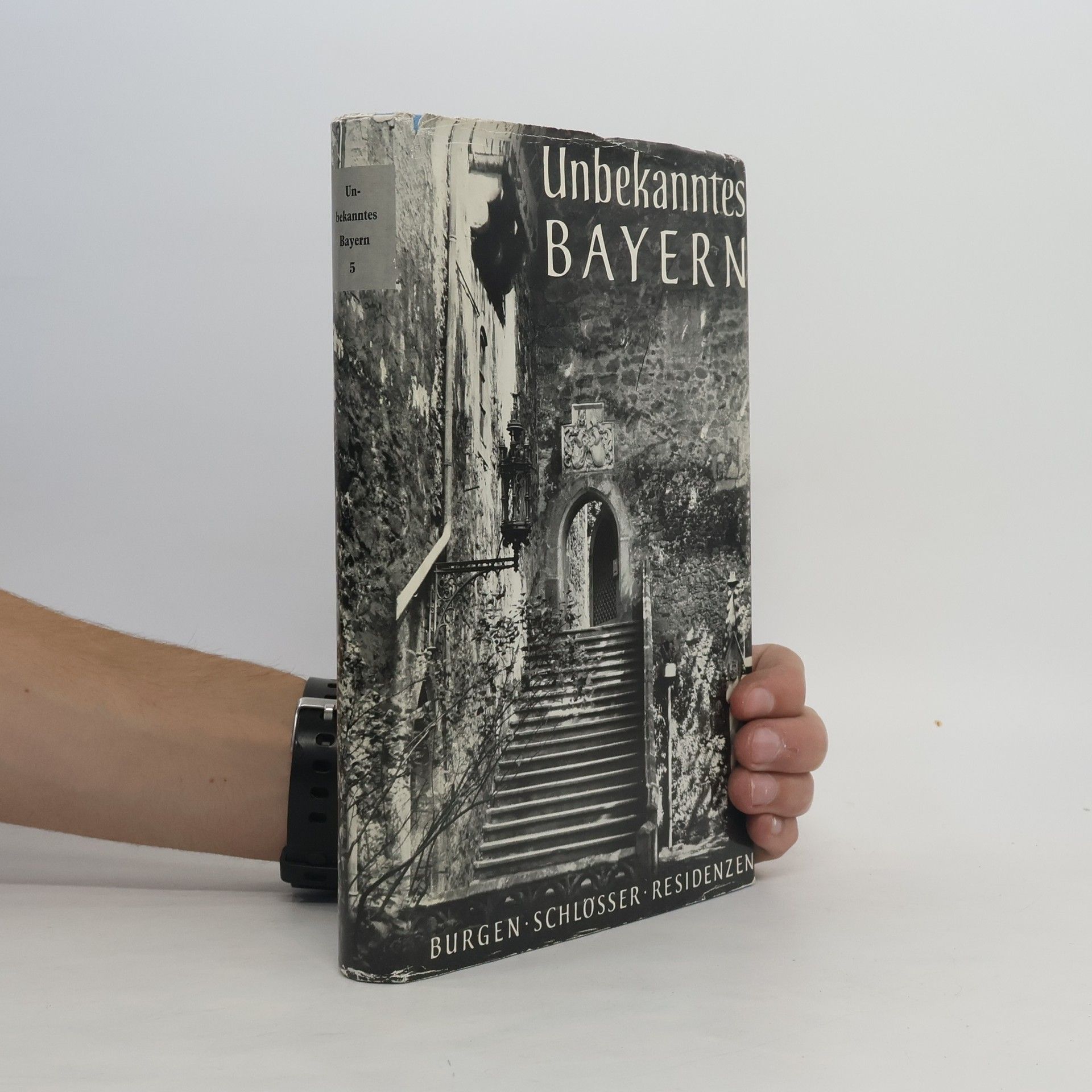 Alois Fink Unbekanntes Bayern