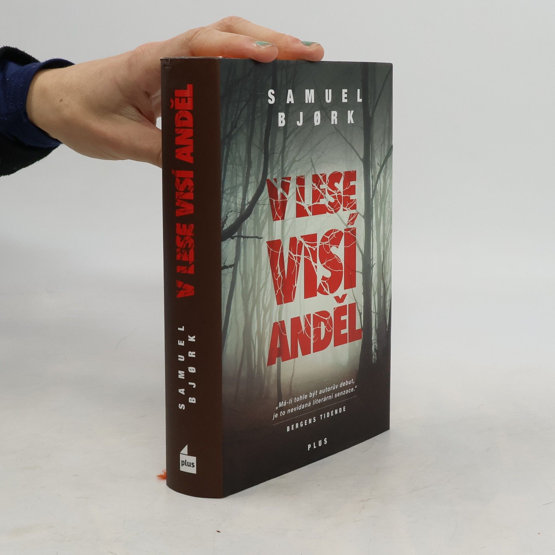 Samuel Bjork V lese visí anděl