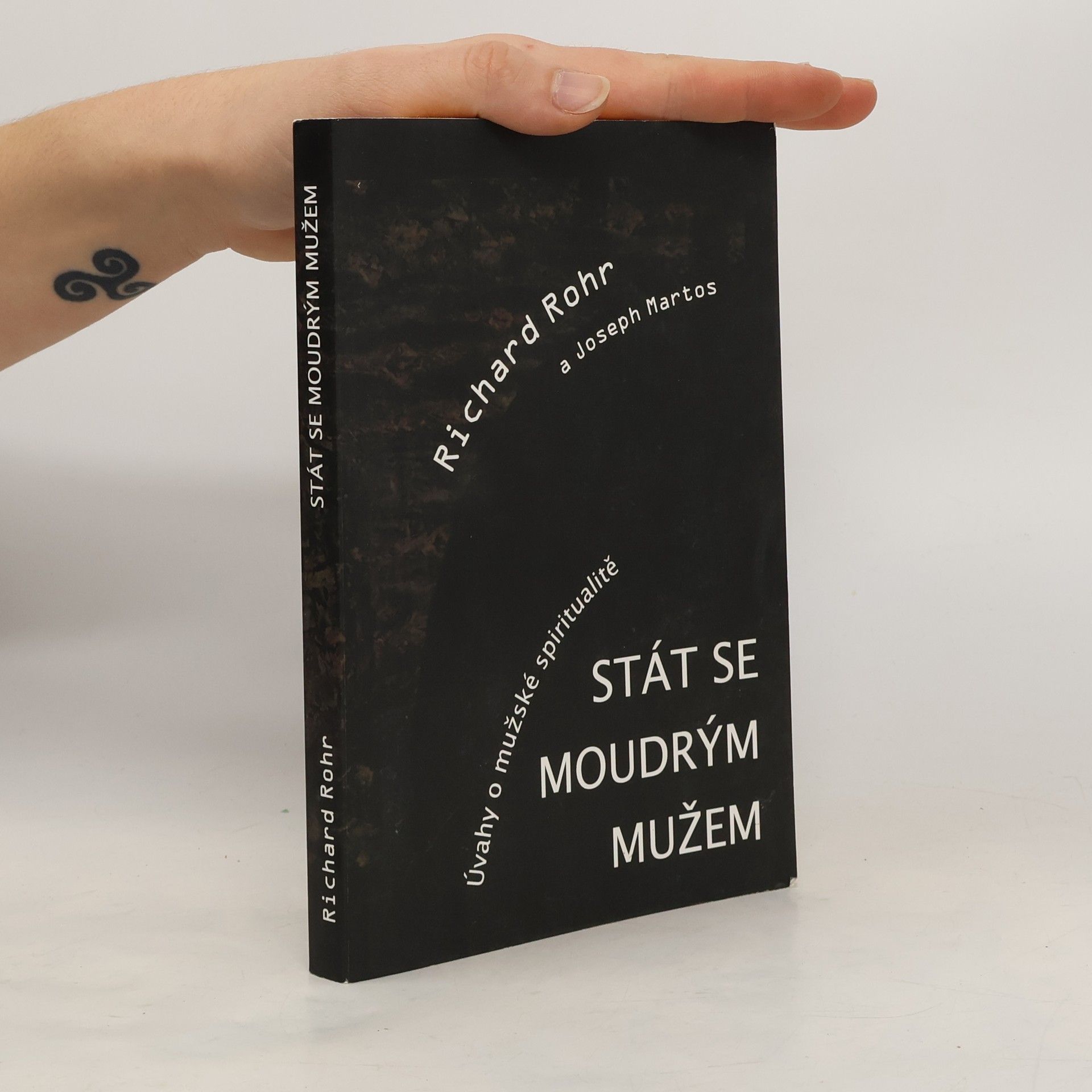 Joseph Martos Stát se moudrým mužem. Úvahy o mužské spiritualitě