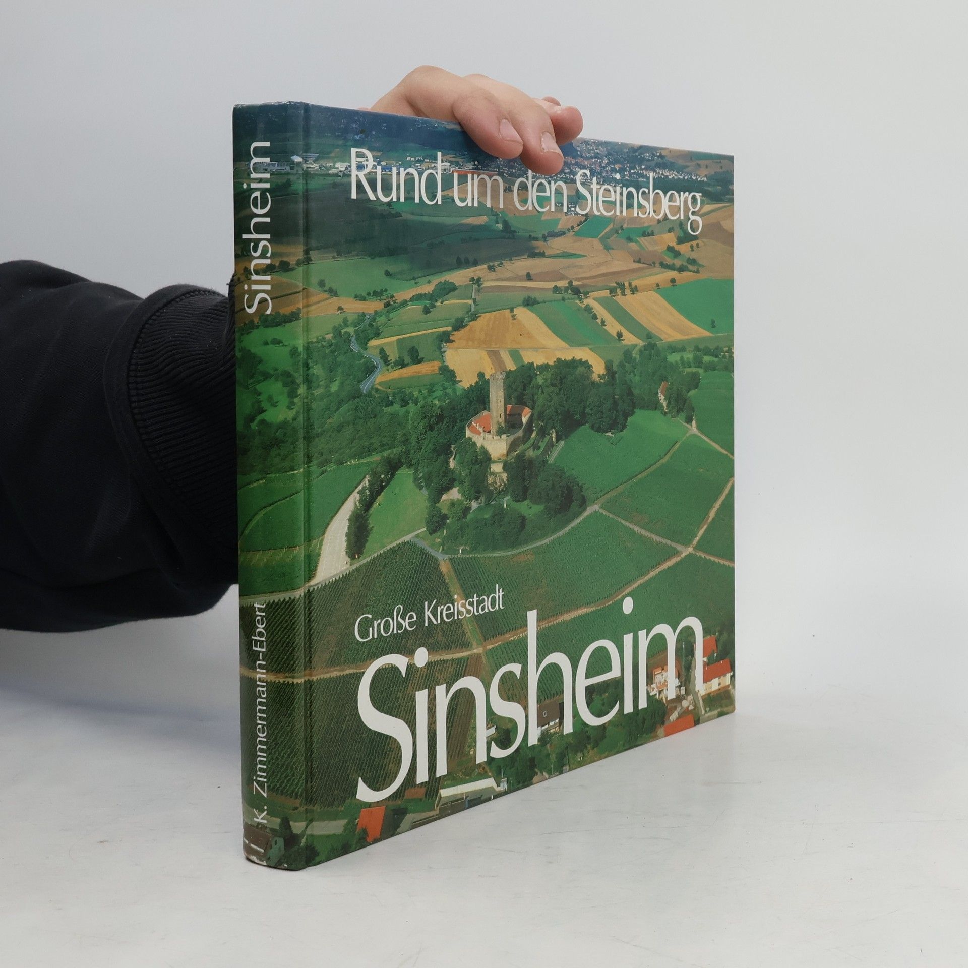 Autores varios Große Kreisstadt Sinsheim